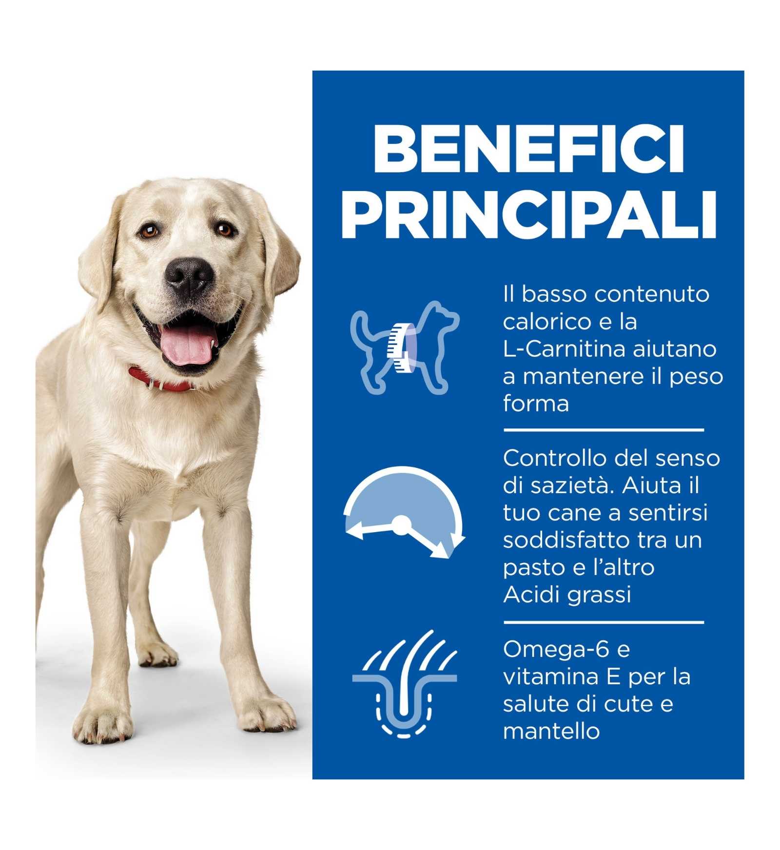 HILL'S SCIENCE PLAN CANE ADULT LARGE BREED LIGHT AL POLLO DA 14 KG