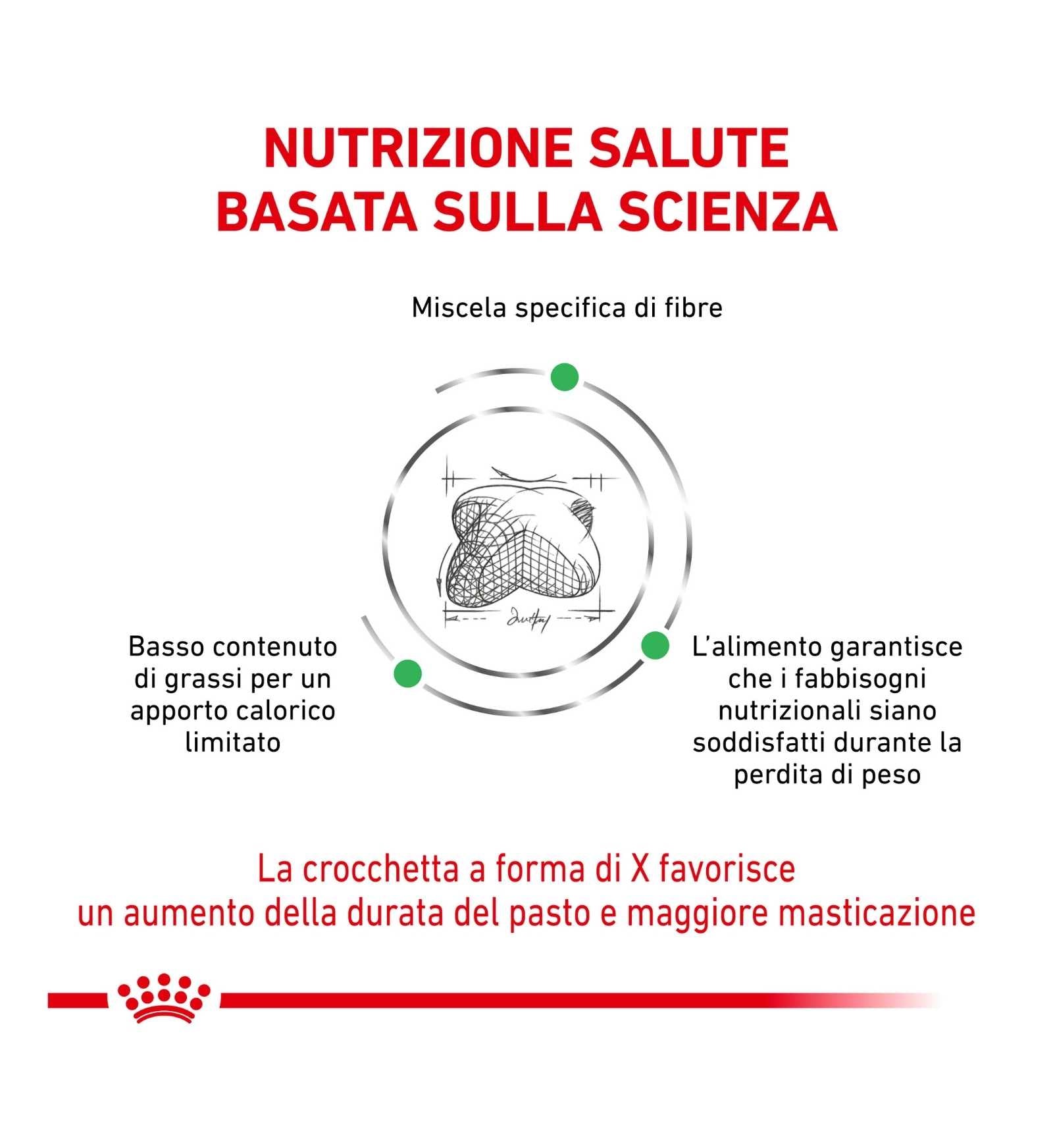 ROYAL CANIN CANE DIET SATIETY WEIGHT MANAGEMENT