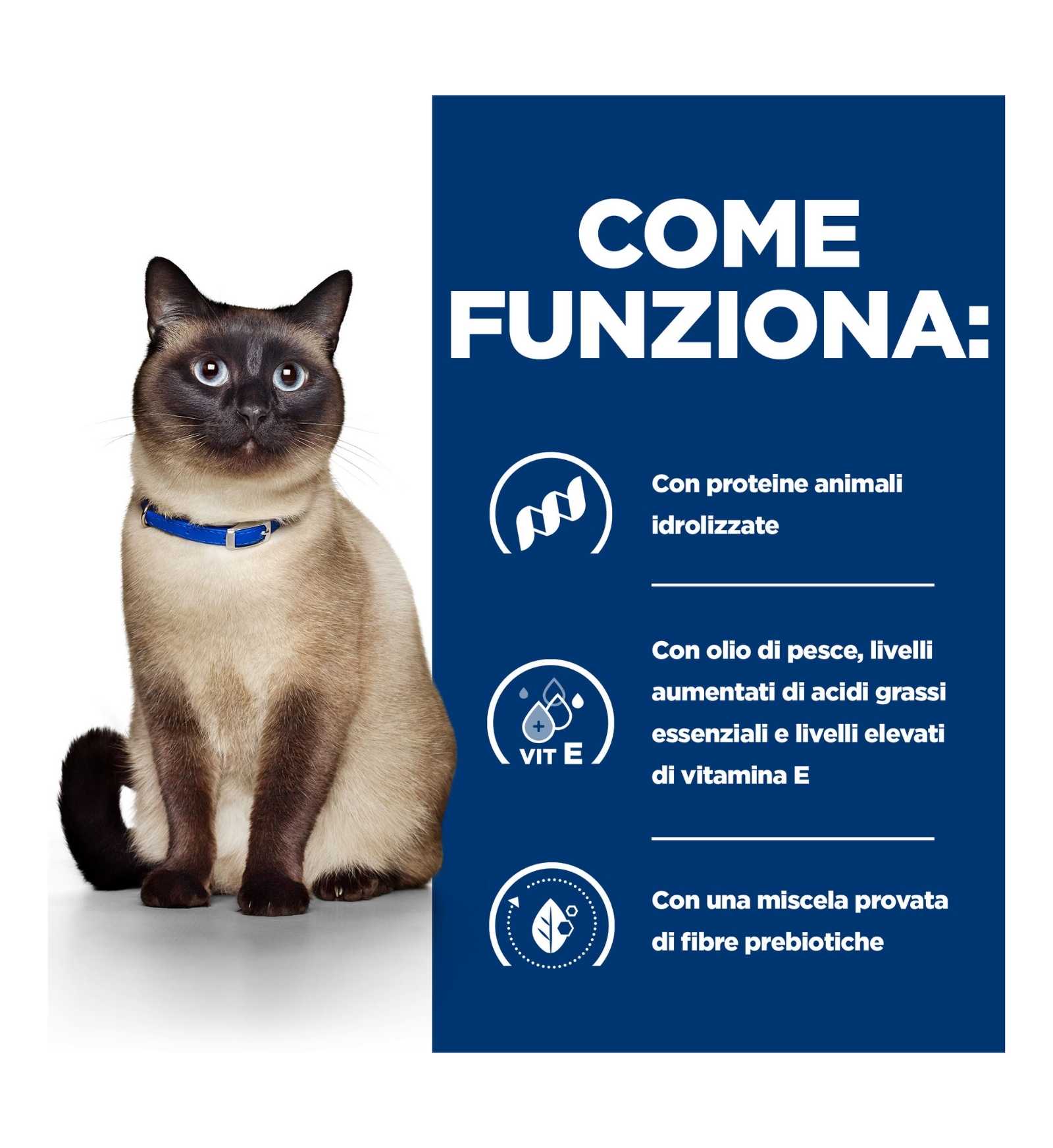 HILL'S PRESCRIPTION DIET GATTO Z/D DA 156 GR IN LATTINA