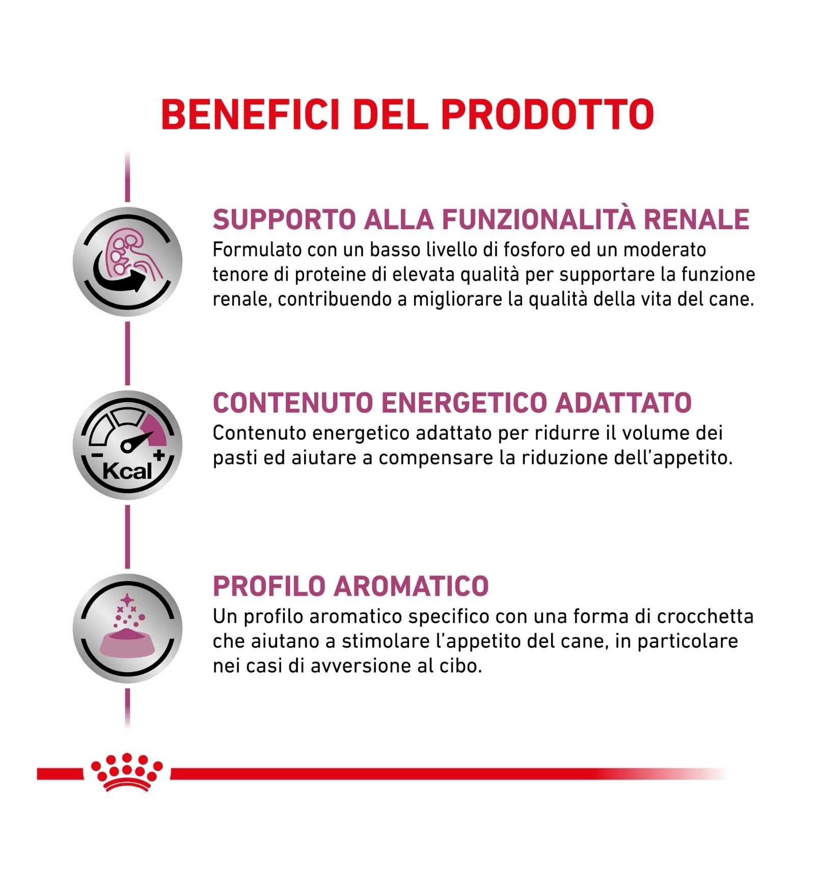 ROYAL CANIN CANE DIET RENAL