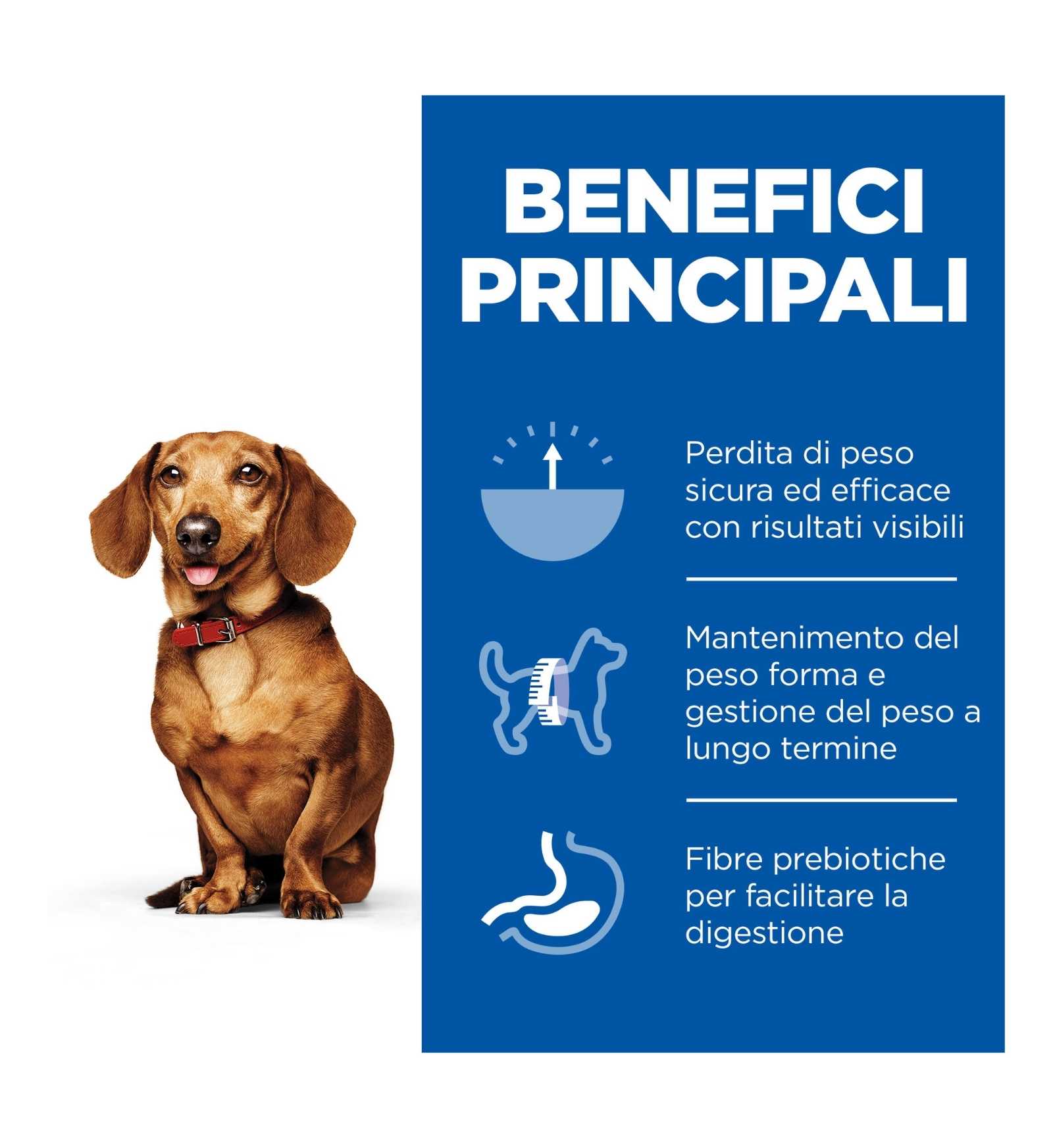 HILL'S SCIENCE PLAN CANE ADULT SMALL & MINI PERFECT WEIGHT AL POLLO DA 1,5 KG