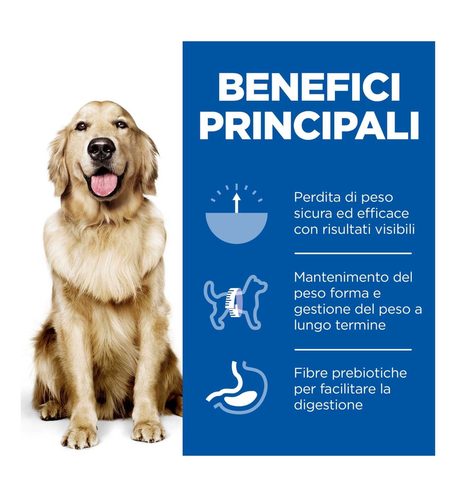 HILL'S SCIENCE PLAN CANE LARGE PERFECT WEIGHT AL POLLO DA 12 KG