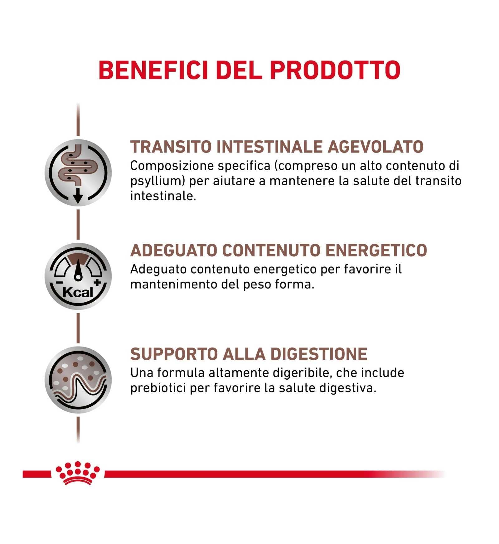 ROYAL CANIN GATTO FIBRE RESPONSE DA 85 GR IN BUSTA
