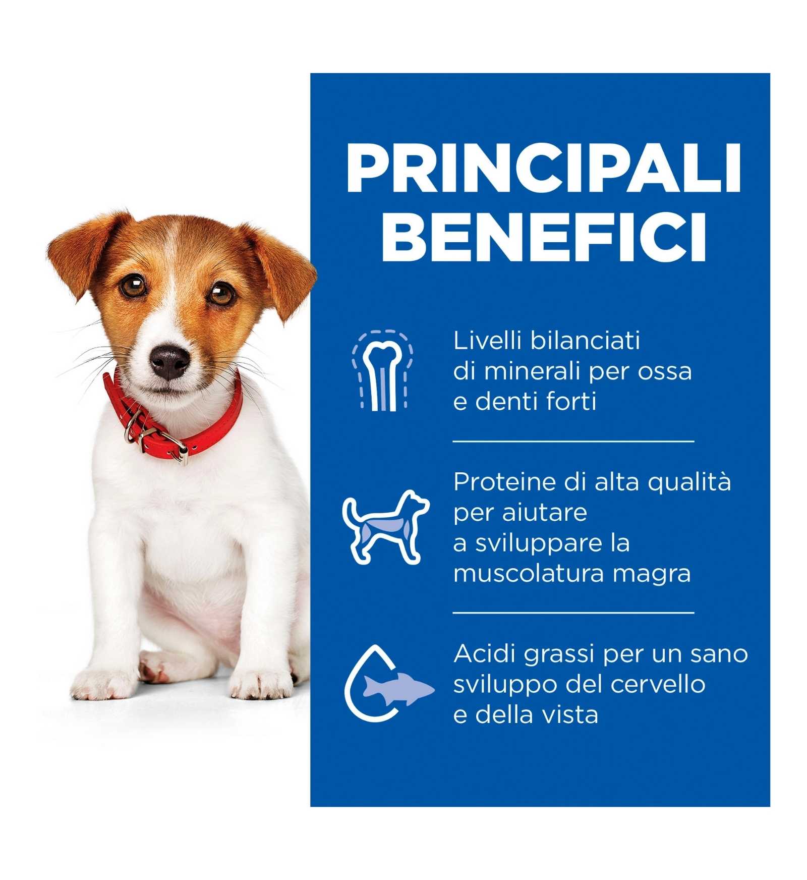 HILL'S SCIENCE PLAN CANE PUPPY SMALL & MINI AGNELLO E RISO