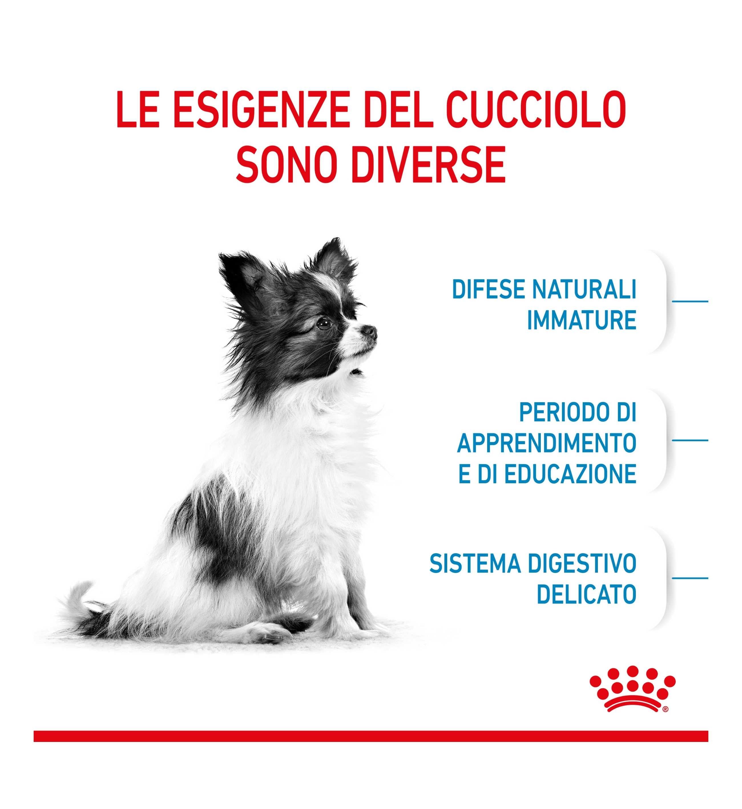ROYAL CANIN CANE PUPPY X-SMALL