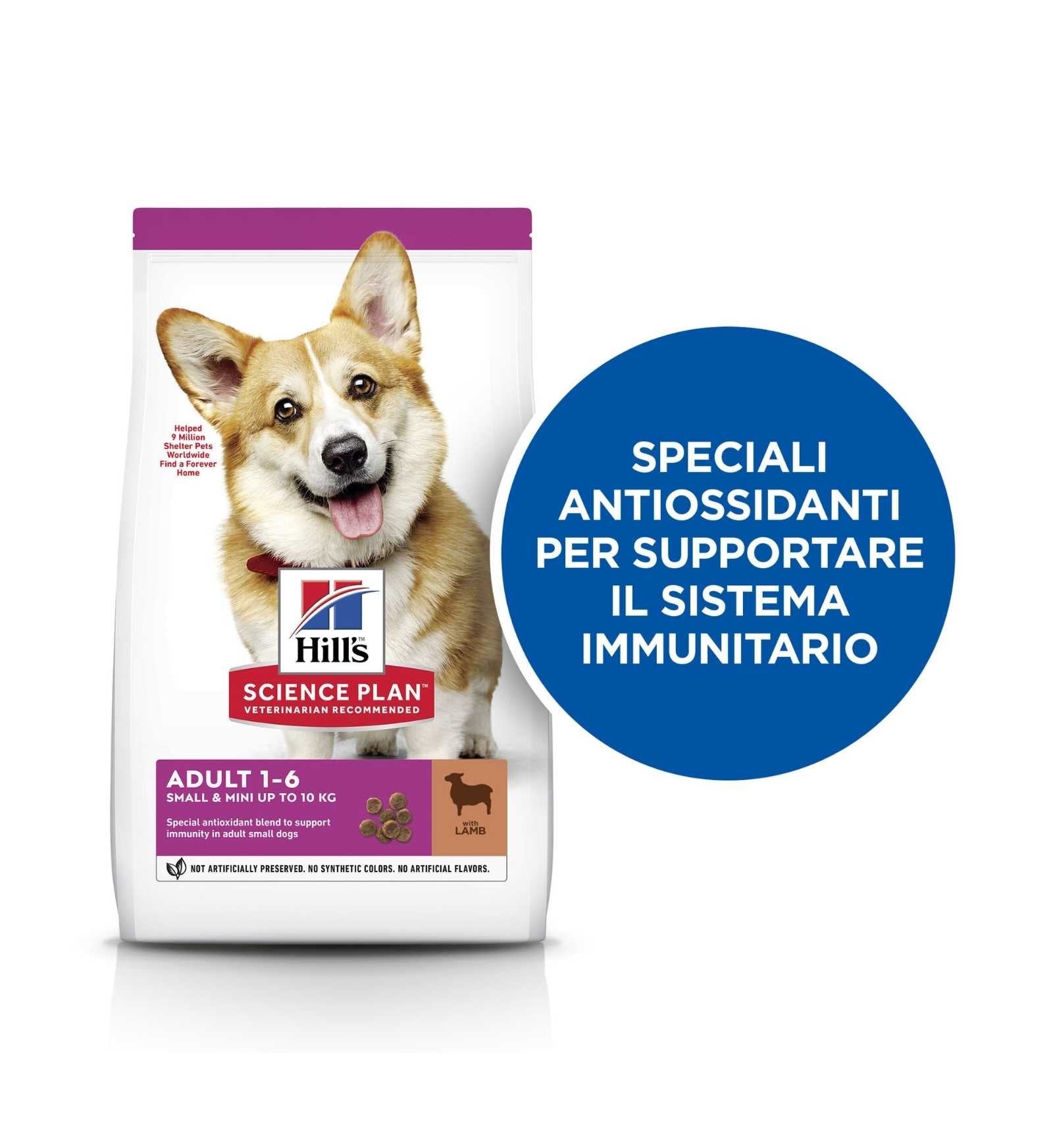 HILL'S SCIENCE PLAN CANE ADULT MINI ALL' AGNELLO E RISO