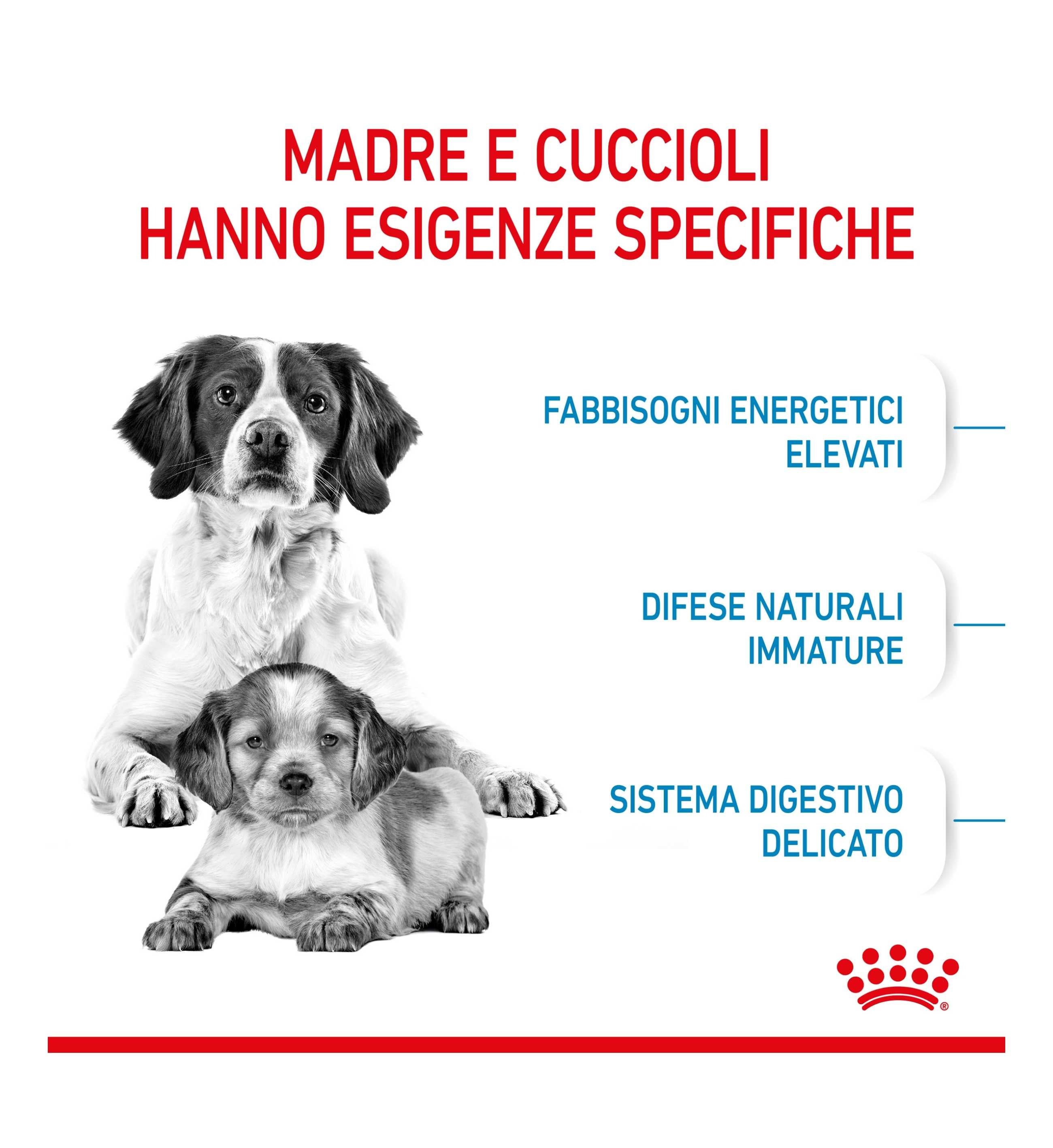 ROYAL CANIN CANE STARTER MEDIUM MOTHER & BABY