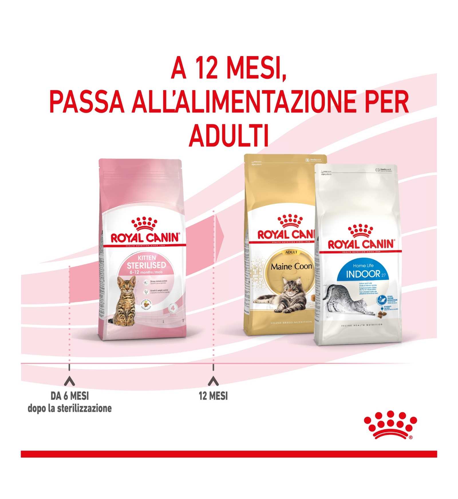 ROYAL CANIN GATTO KITTEN STERILISED