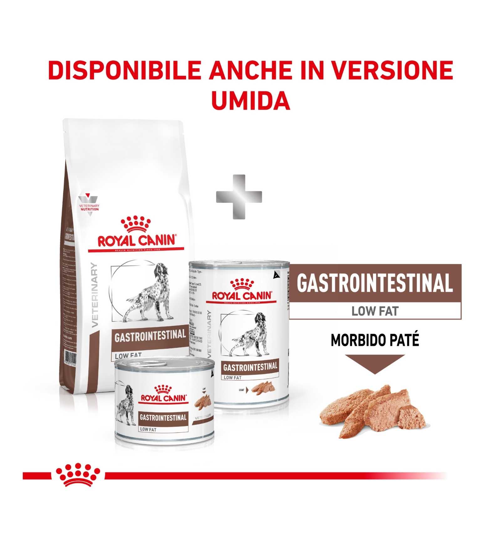 ROYAL CANIN CANE DIET GASTROINTESTINAL LOW FAT