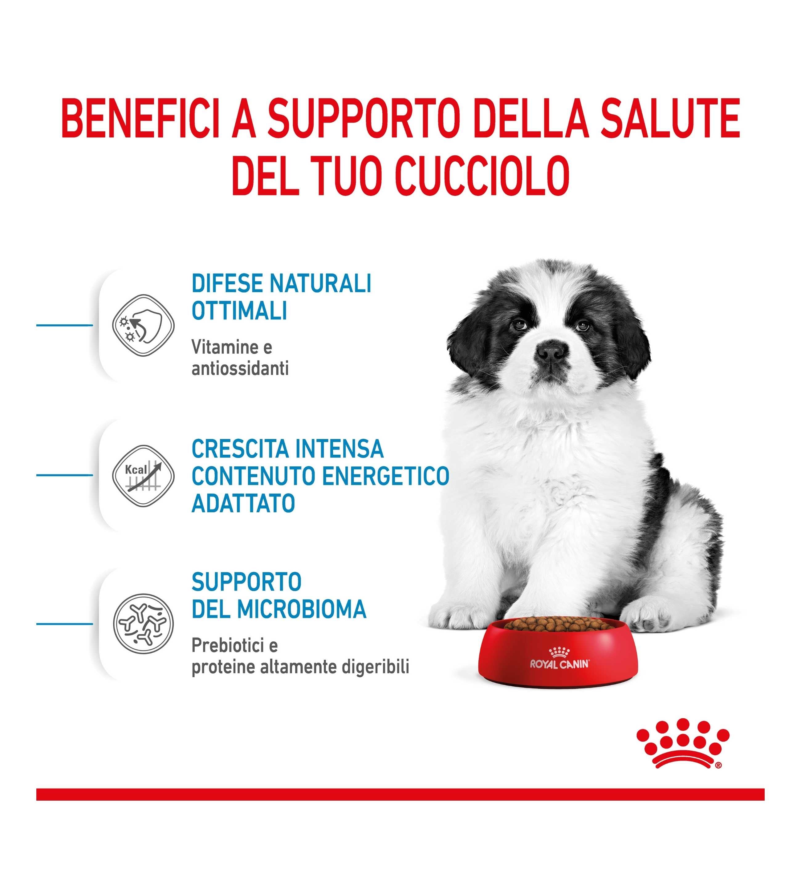 ROYAL CANIN CANE PUPPY GIANT DA 15 KG
