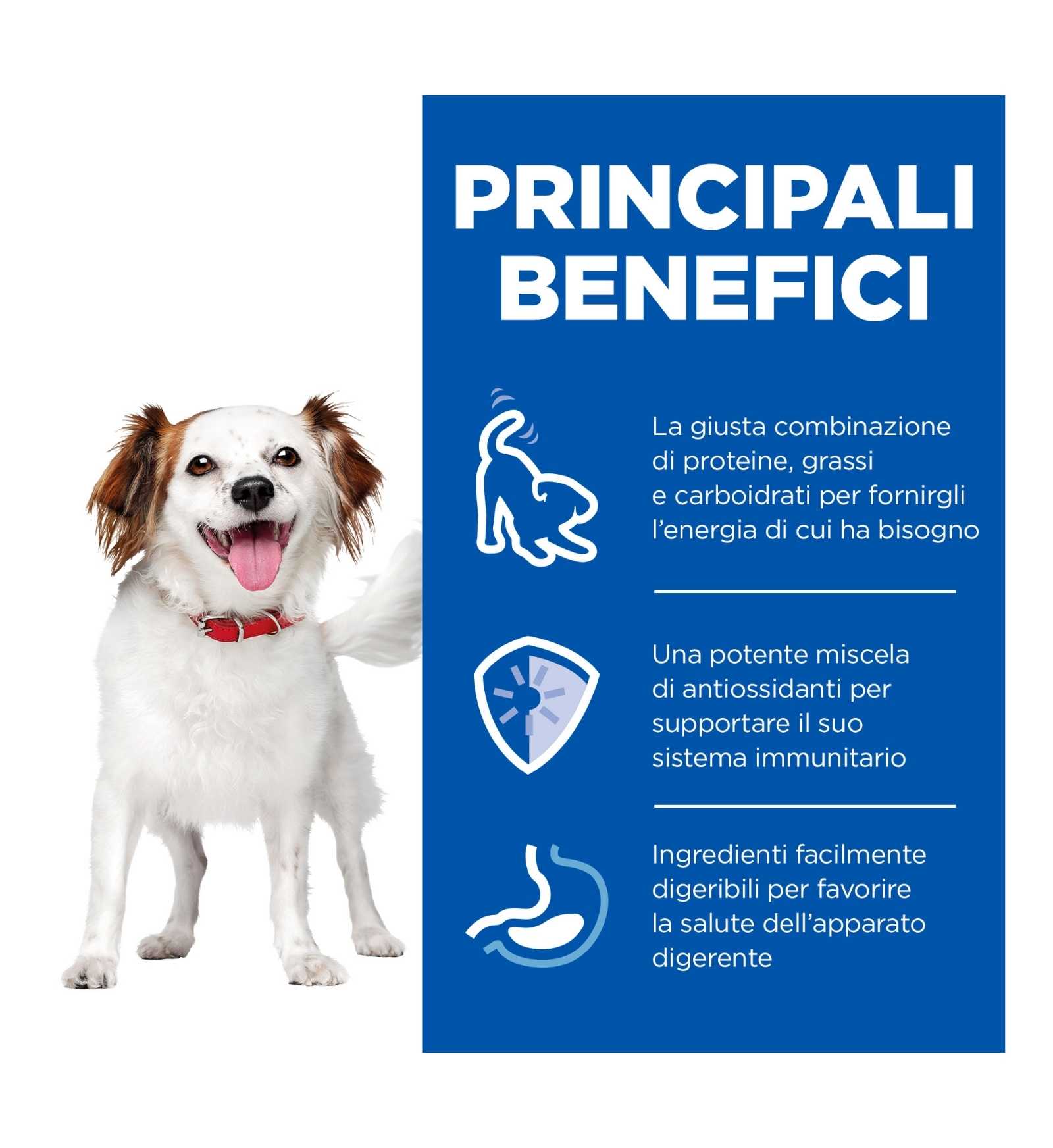 HILL'S SCIENCE PLAN CANE ADULT SMALL & MINI MOUSSE AL MANZO DA 200 GR IN LATTINA