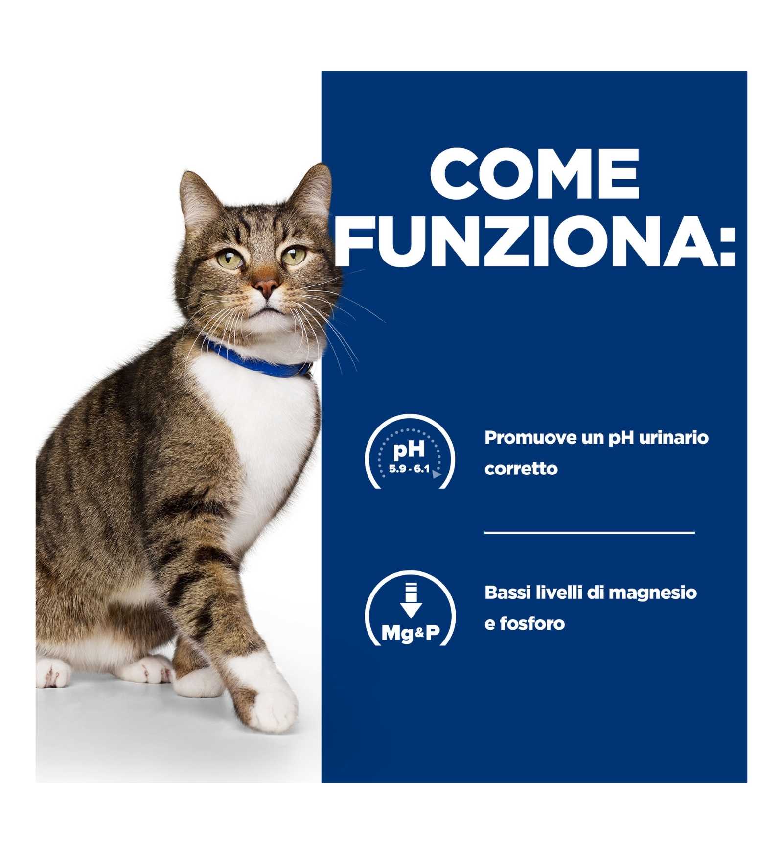 HILL'S PRESCRIPTION DIET GATTO S/D DA 85 GR IN BUSTA