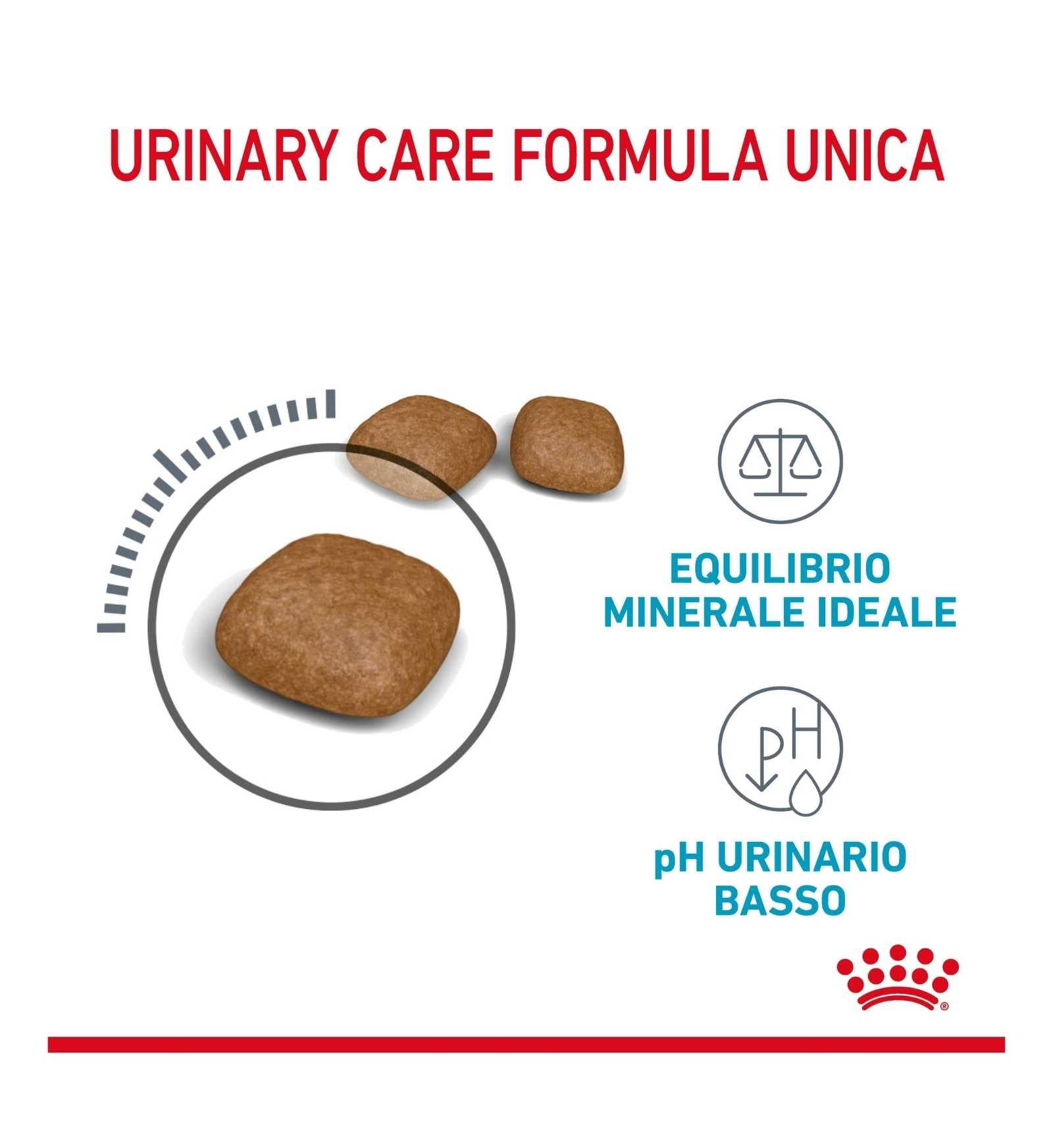 ROYAL CANIN GATTO URINARY CARE