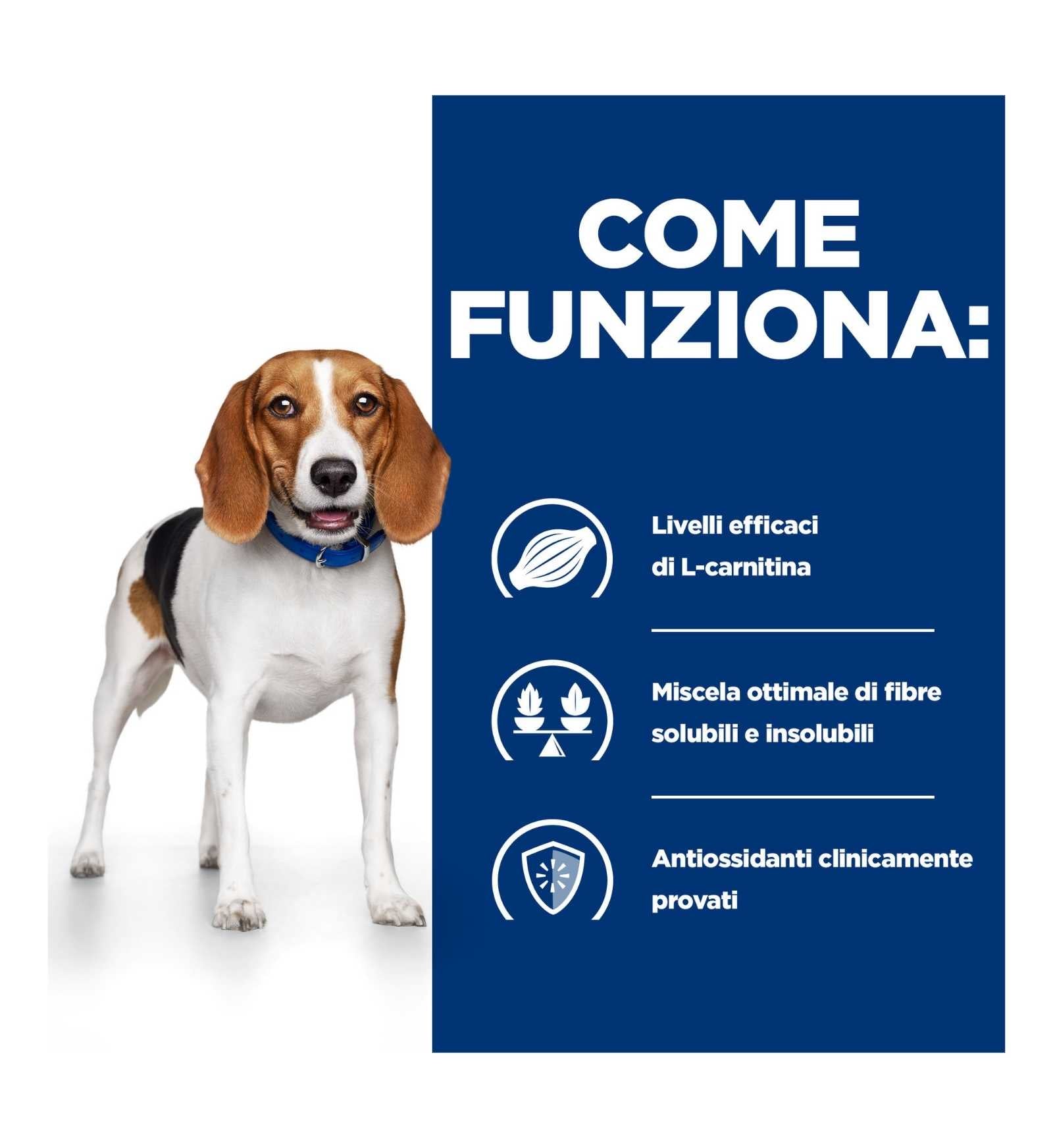 HILL'S PRESCRIPTION DIET CANE R/D DA 350 GR IN LATTINA