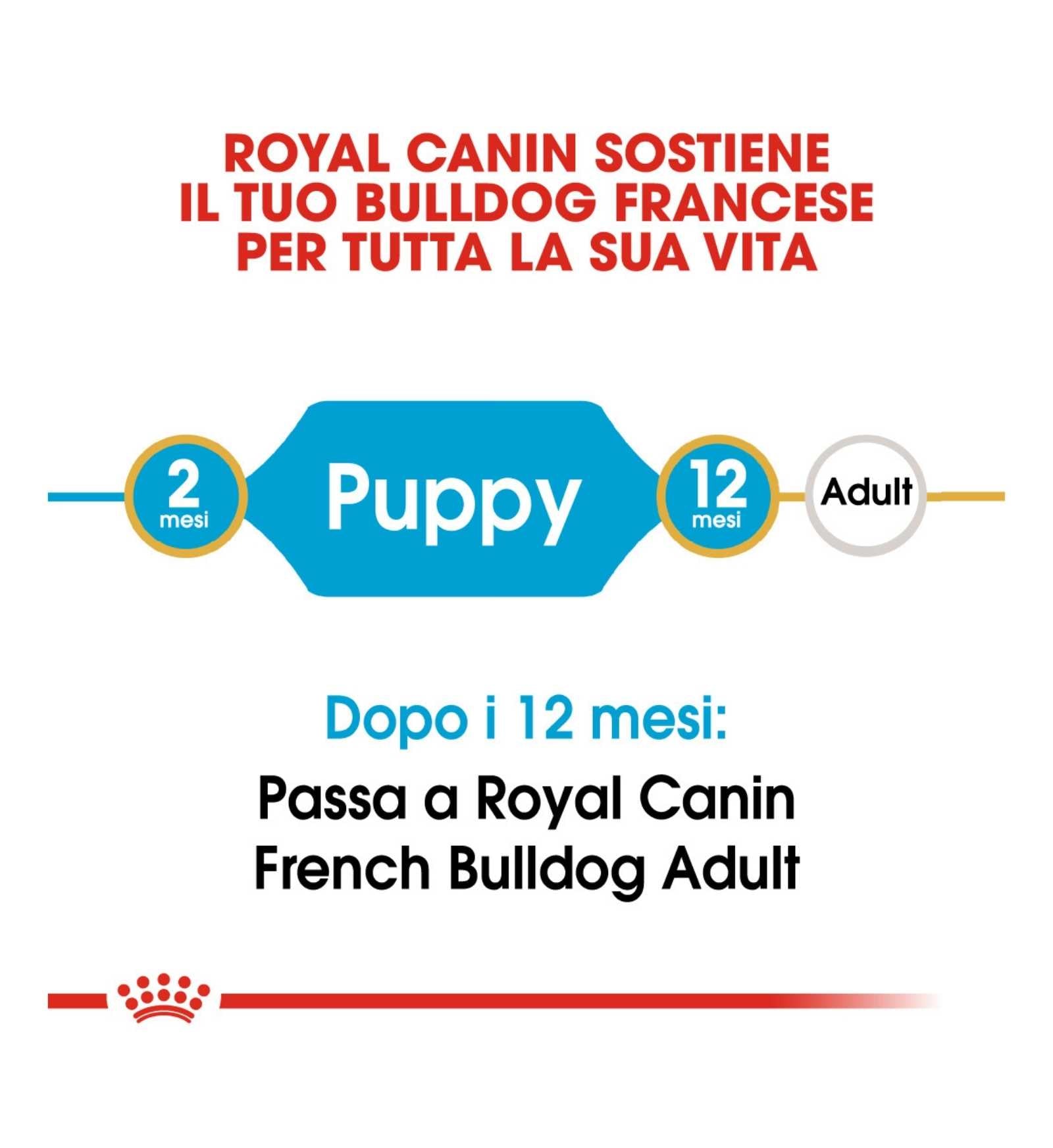 ROYAL CANIN CANE BREED FRENCH BULLDOG PUPPY