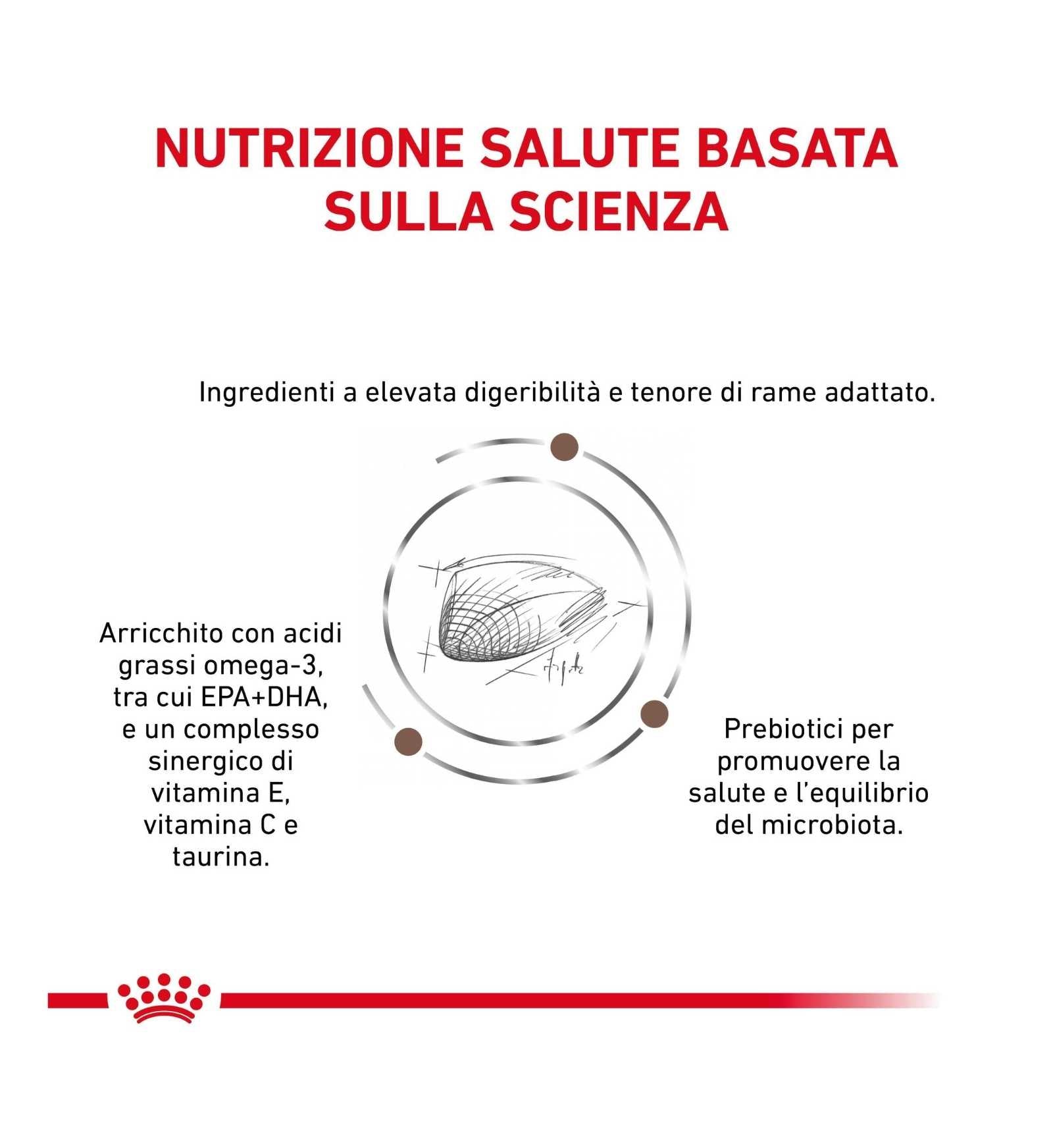 ROYAL CANIN CANE DIET HEPATIC