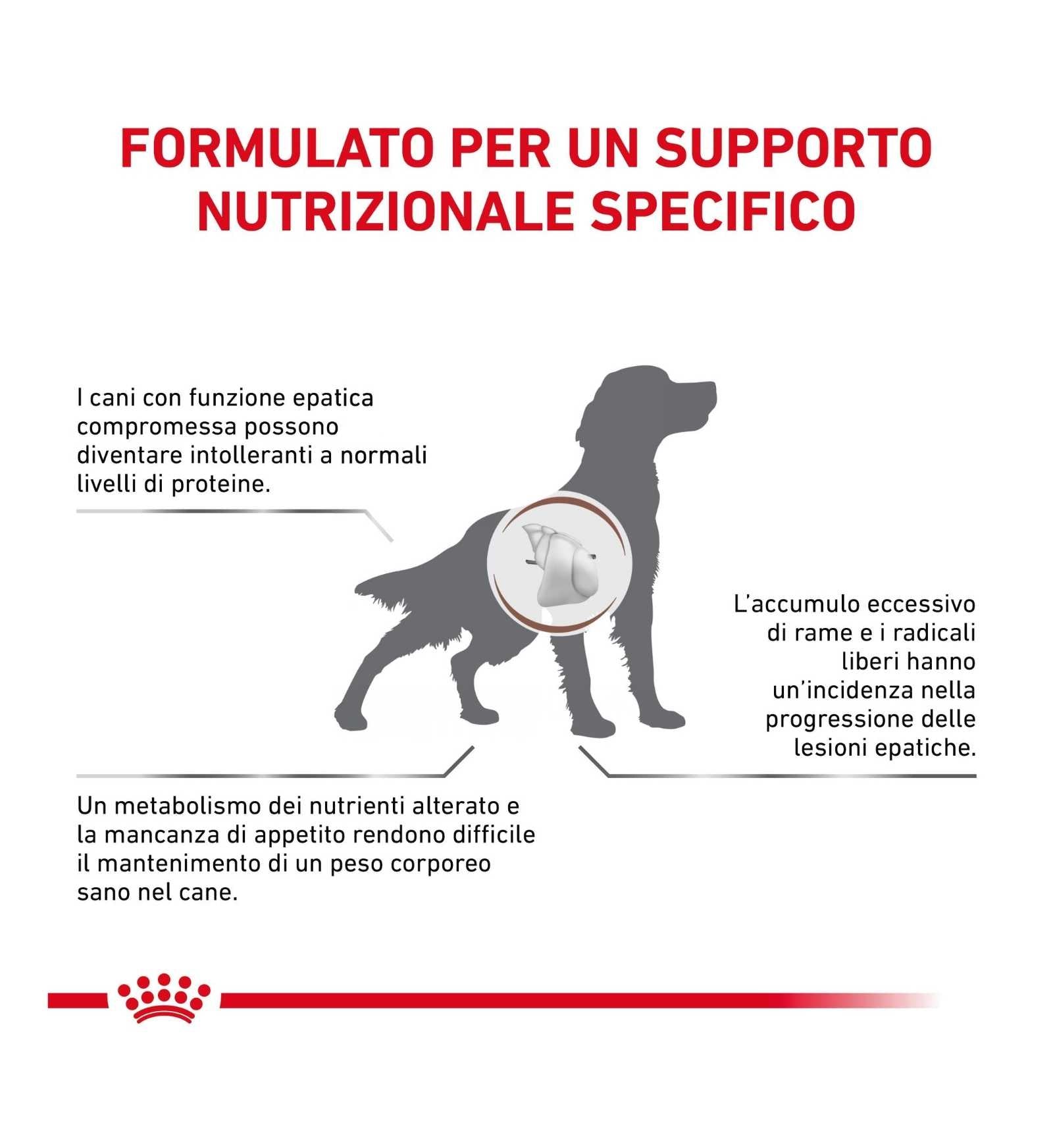 ROYAL CANIN CANE DIET HEPATIC