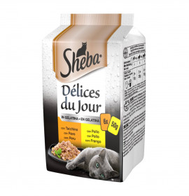 Sheba gatto delice du jour...