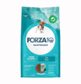 Forza10 cane mini puppy...