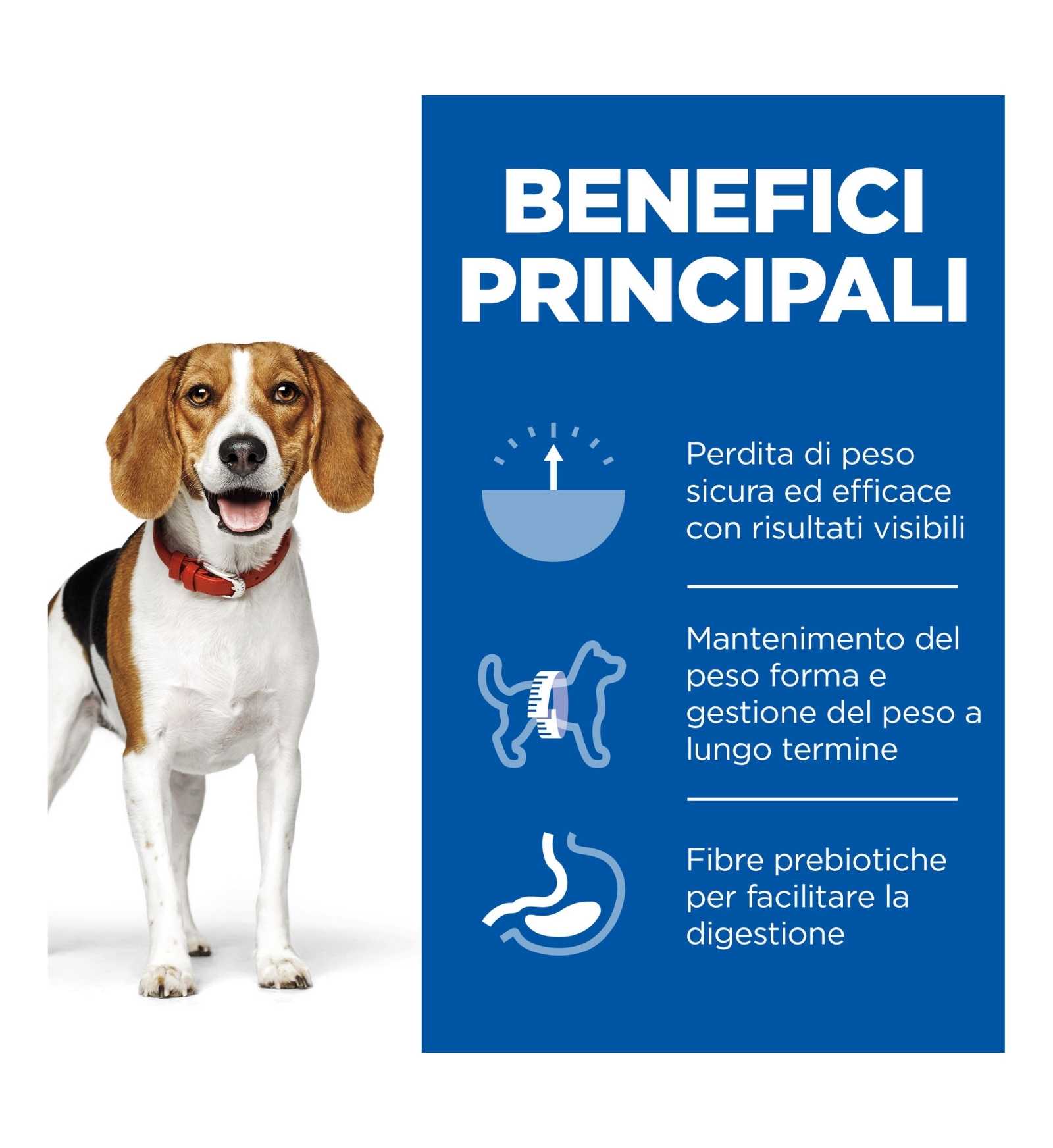 HILL'S SCIENCE PLAN CANE ADULT MEDIUM PERFECT WEIGHT AL POLLO