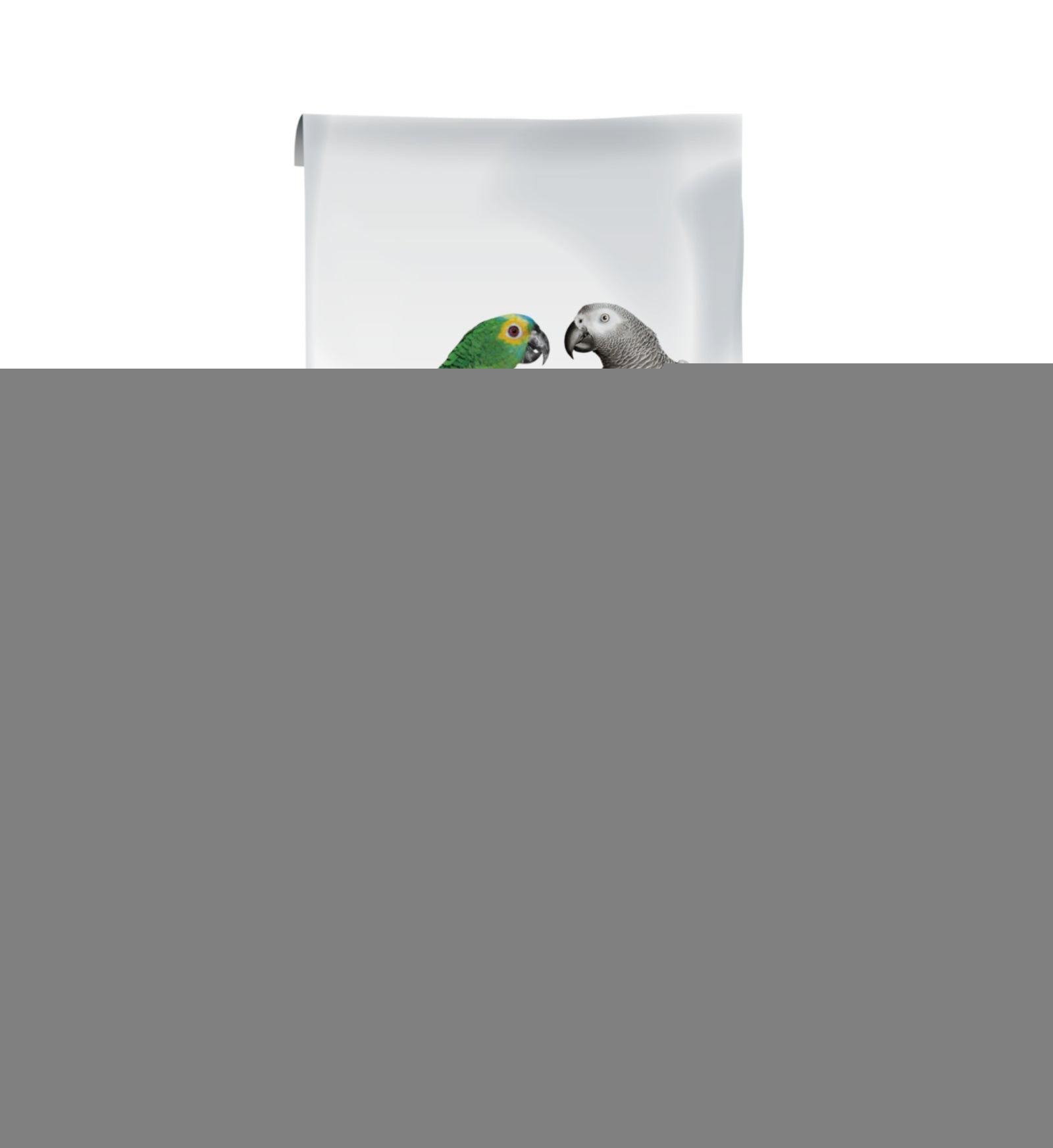 VERSELE LAGA VOLATILI MANGIME NUTRIBIRD P15 TROPICAL MANTENIMENTO