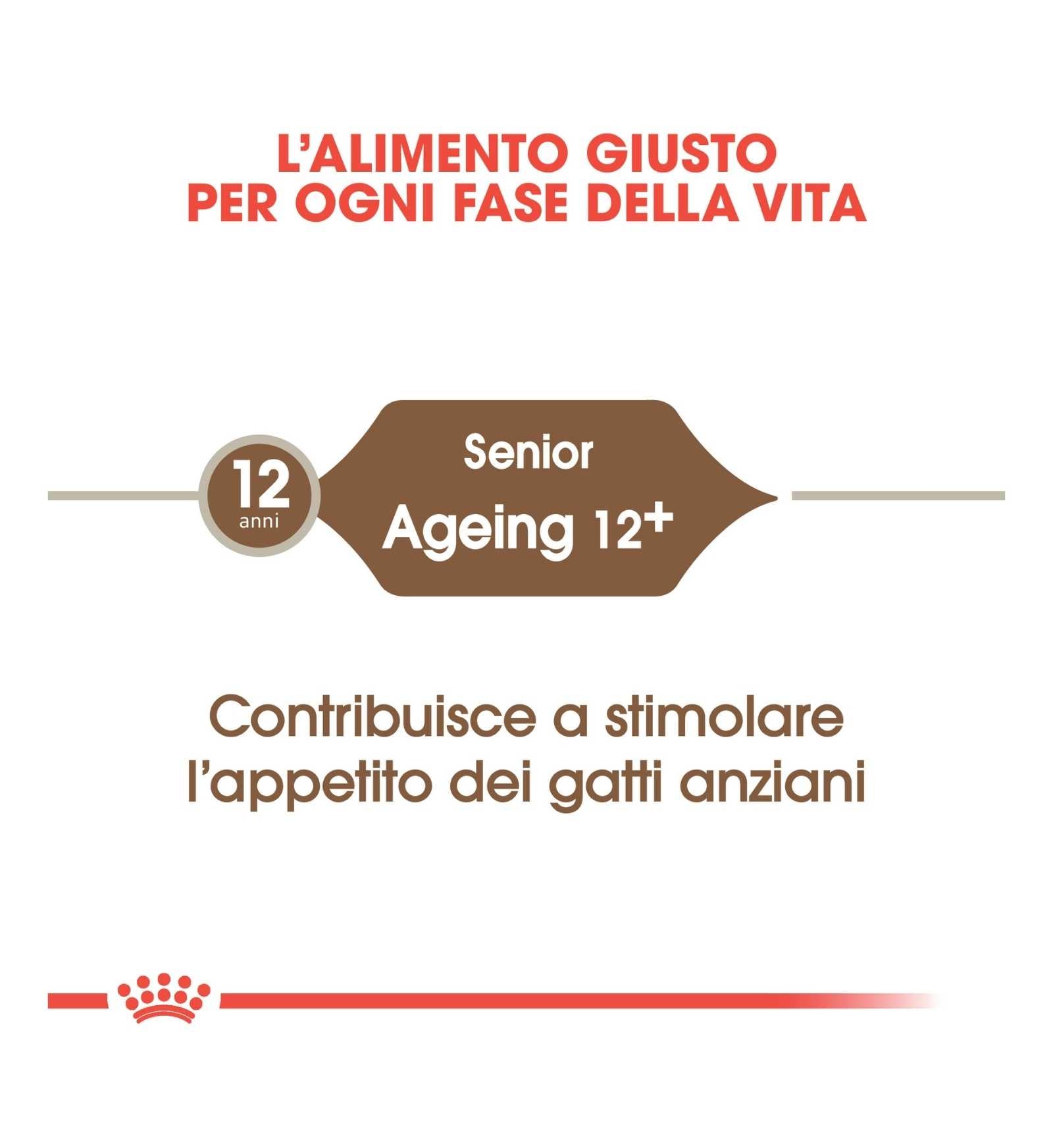 INNOVET CANE E GATTO RESTOMYL GEL 30 ML