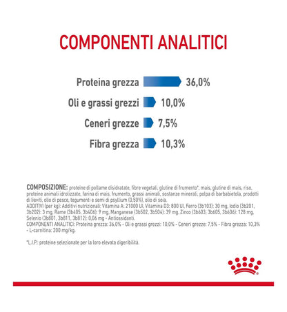ROYAL CANIN GATTO LIGHT WEIGHT CARE DA 1,5 KG