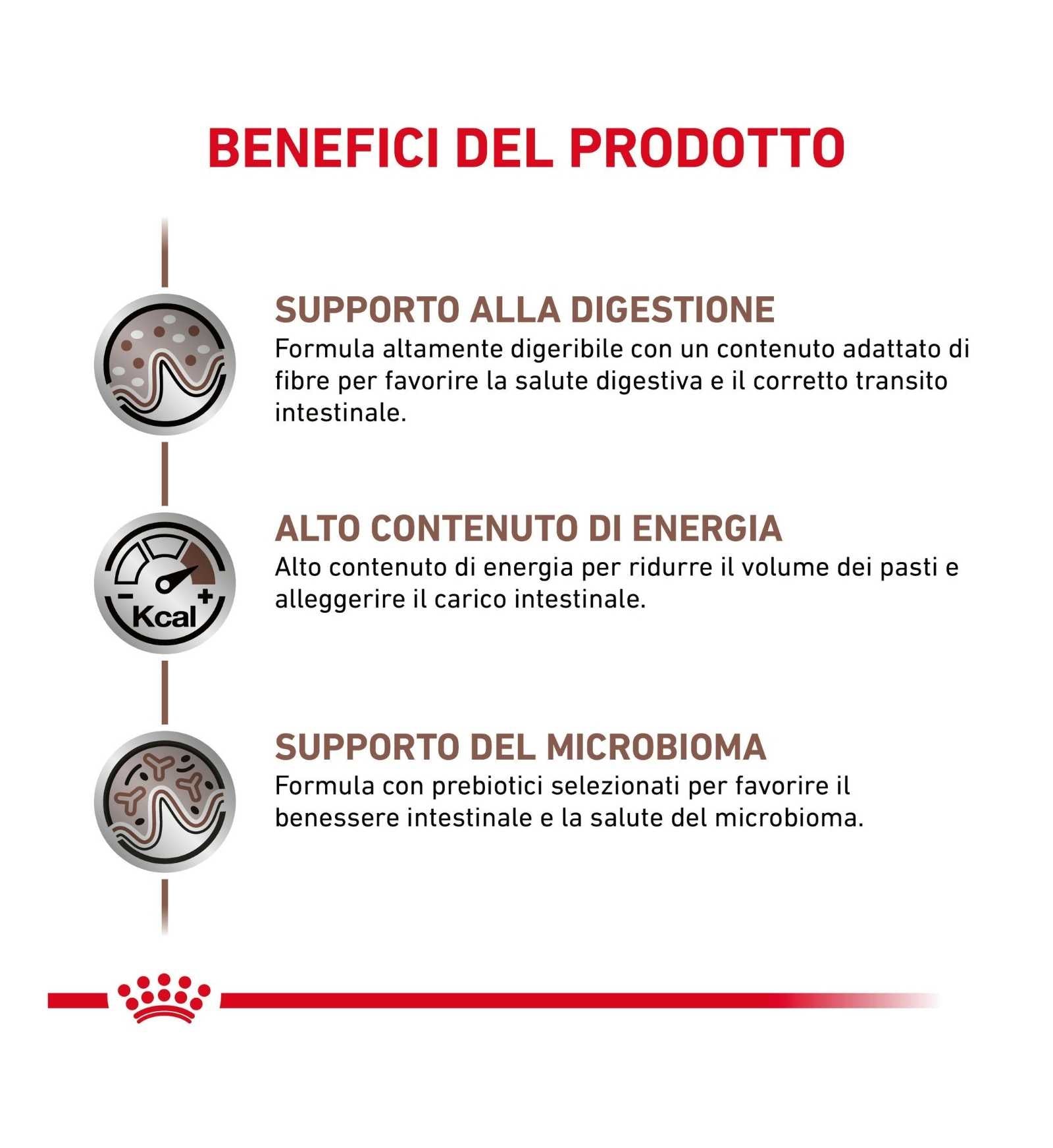 ROYAL CANIN CANE DIET GASTROINTESTINAL IN LATTINA