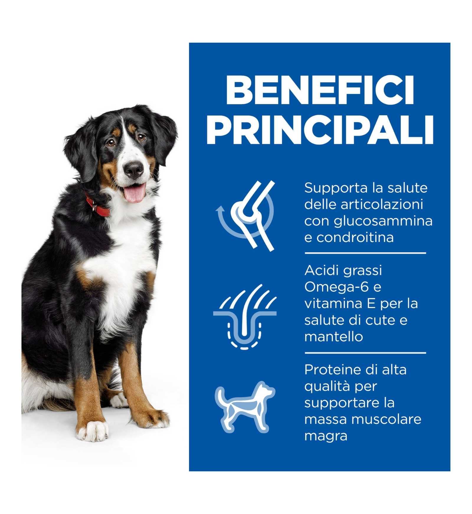 HILL'S SCIENCE PLAN CANE ADULT LARGE BREED AL POLLO