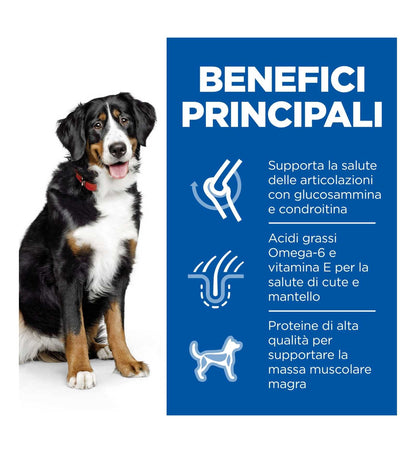 HILL'S SCIENCE PLAN CANE ADULT LARGE BREED AL POLLO