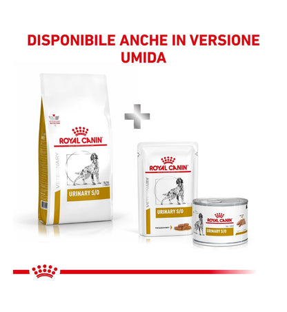 ROYAL CANIN CANE DIET URINARY S/O