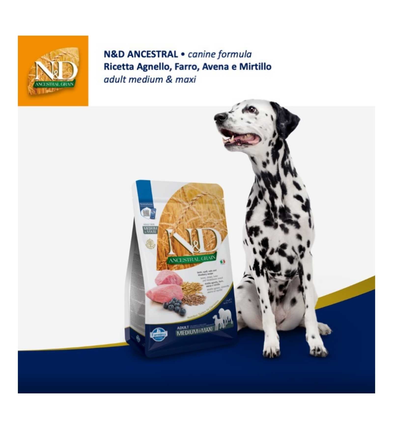 FARMINA N&D CANE ANCESTRAL LOW GRAIN ADULT MEDIUM & MAXI AGNELLO E MIRTILLO