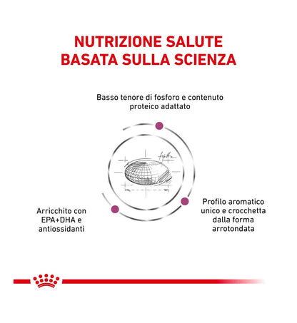 ROYAL CANIN GATTO DIET RENAL