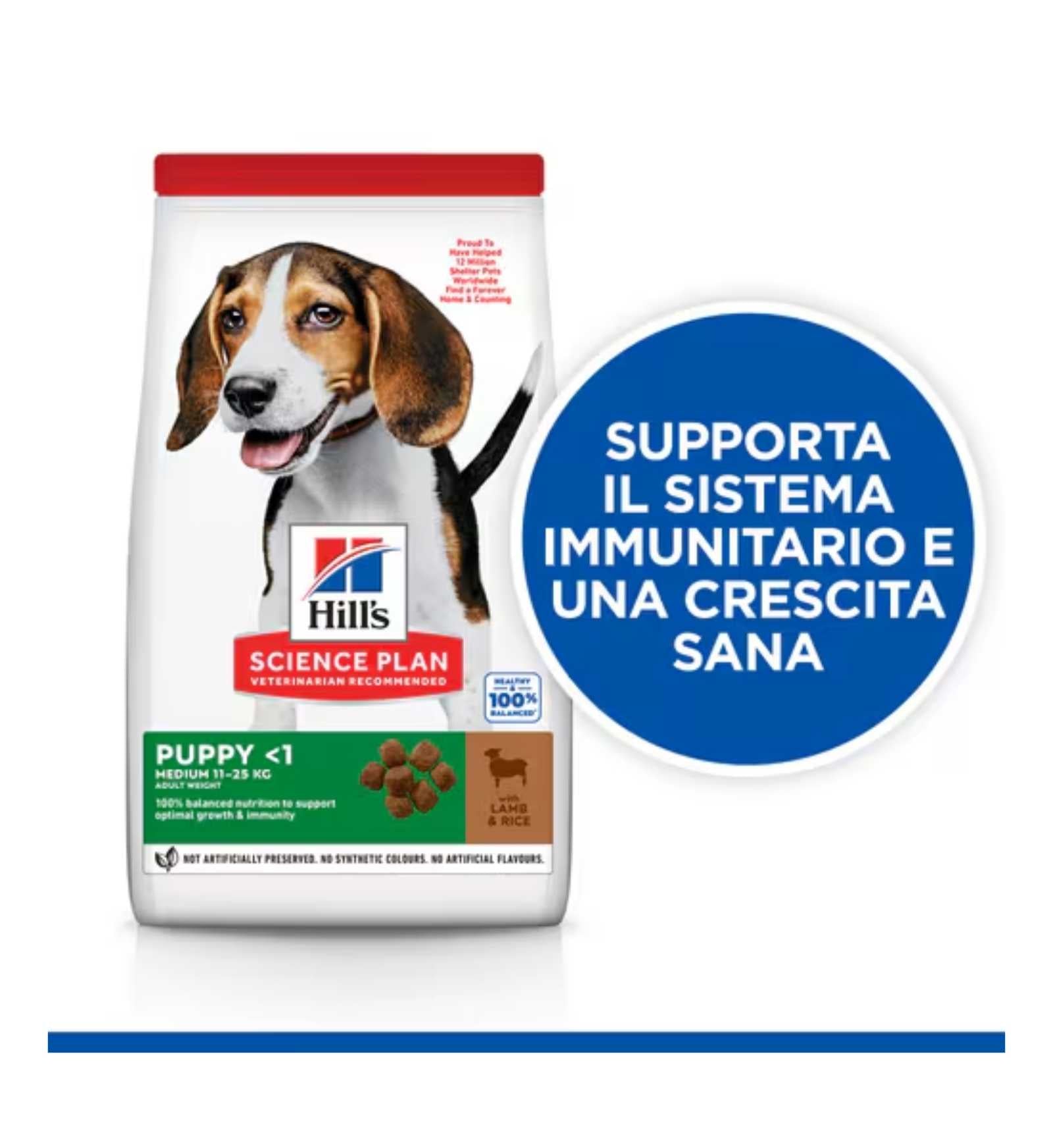 HILL'S SCIENCE PLAN CANE PUPPY MEDIUM AGNELLO E RISO DA 2,5 KG