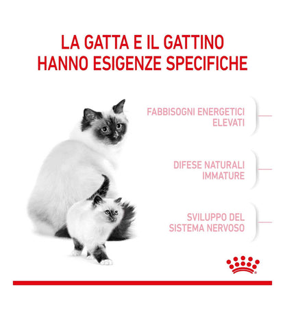 ROYAL CANIN GATTO BABYCAT DA 195 GR IN LATTINA