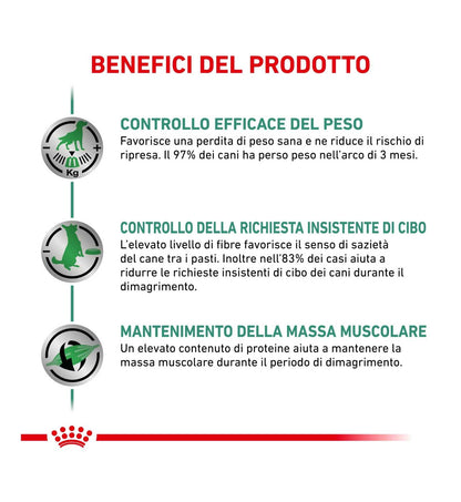 ROYAL CANIN CANE DIET SATIETY WEIGHT MANAGEMENT