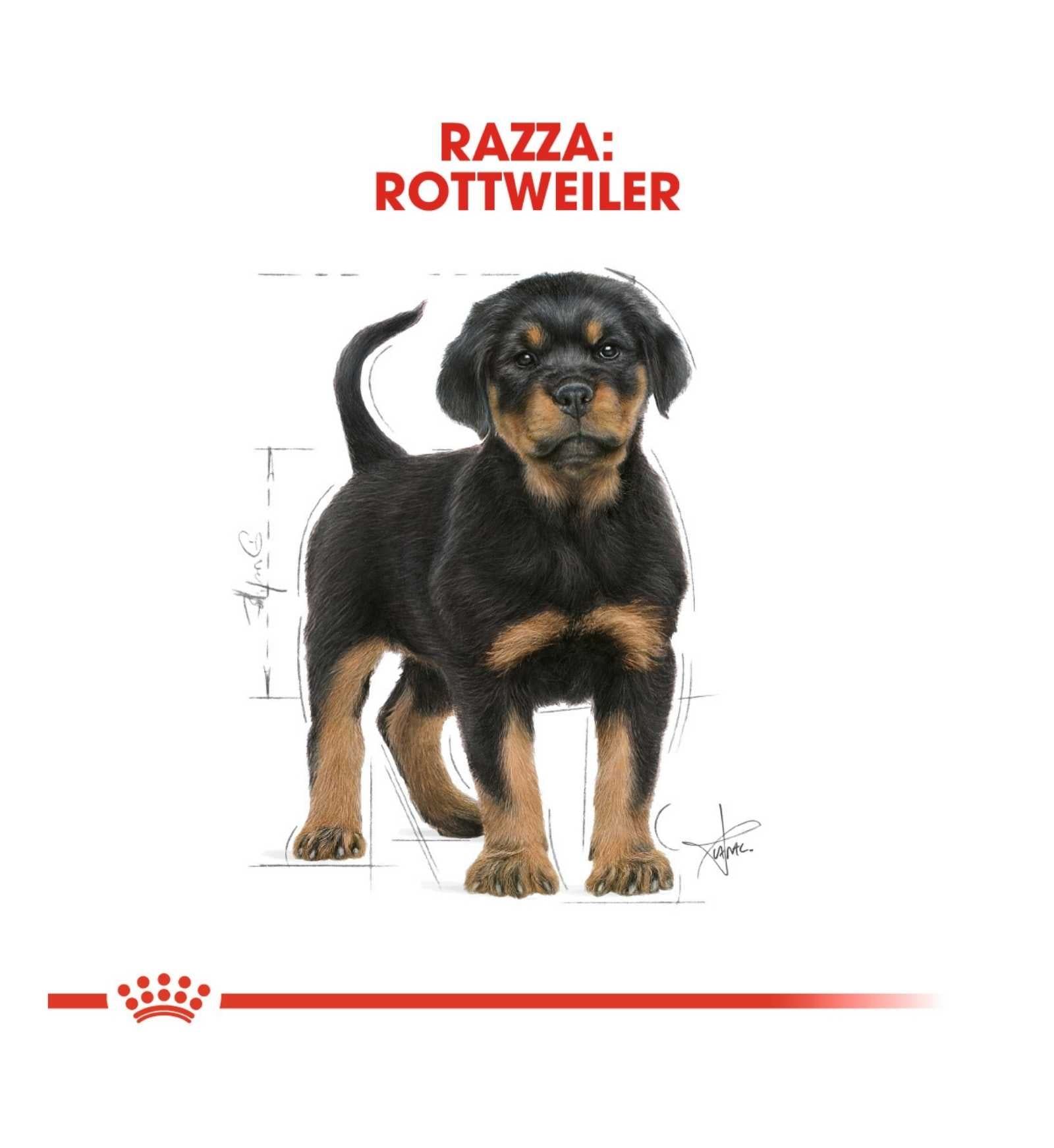 ROYAL CANIN CANE BREED ROTTWEILER PUPPY DA 12 KG