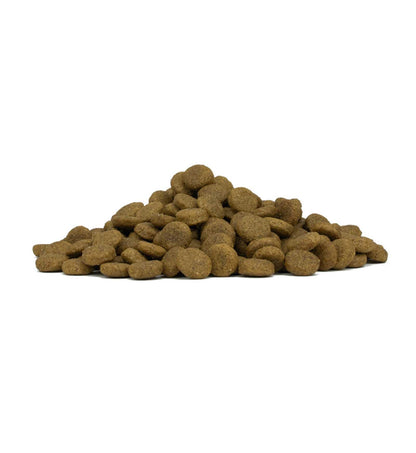 FORZA10 CANE MAINTENANCE ADULT MEDIUM CERVO E PATATE