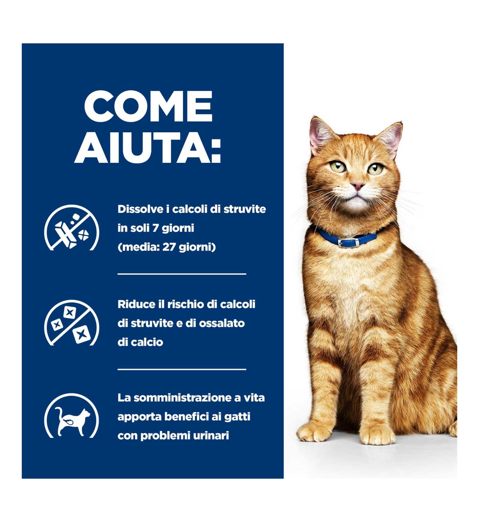 HILL'S PRESCRIPTION DIET GATTO C/D URINARY AL POLLO DA 85 GR IN BUSTA