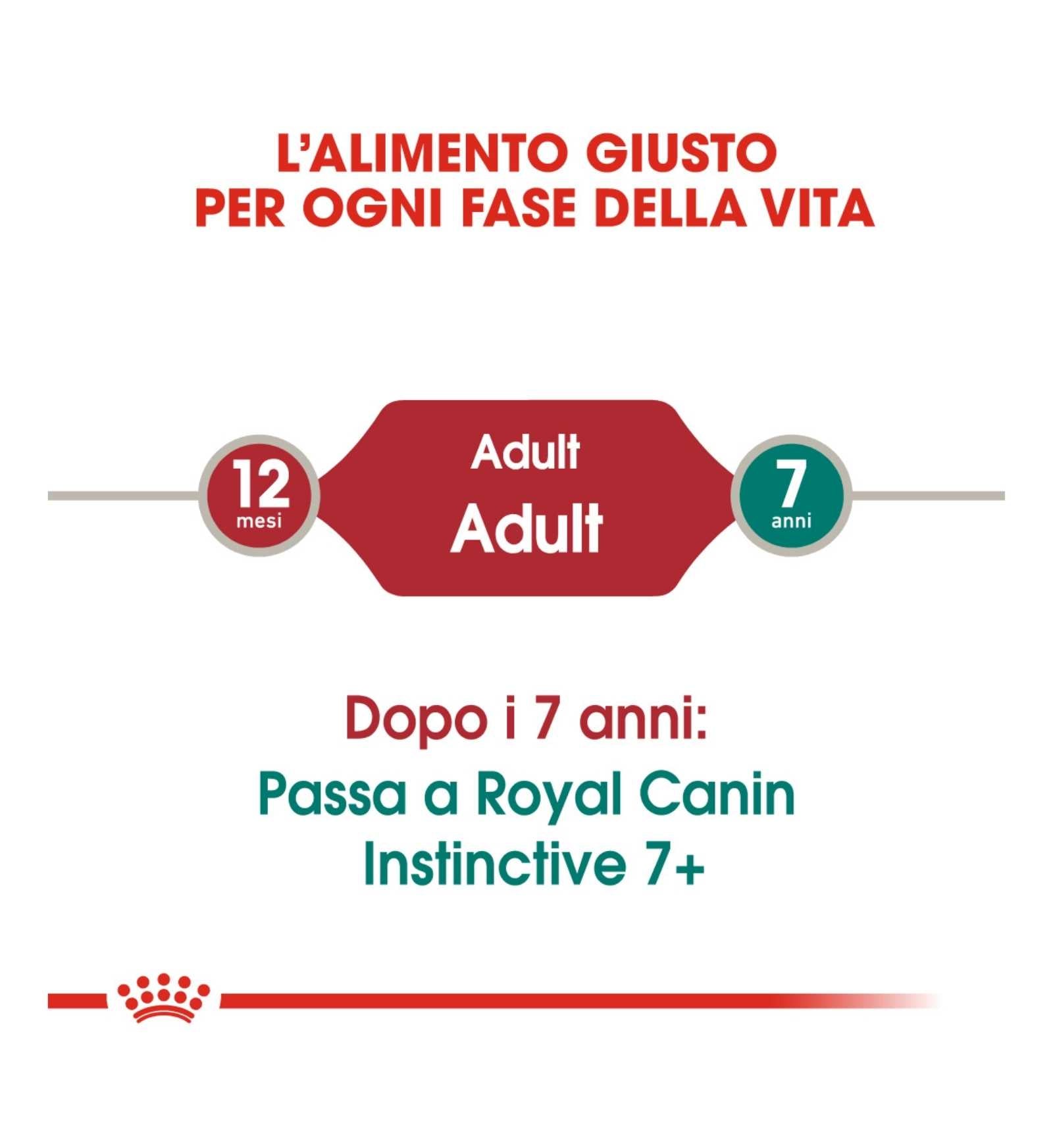 ROYAL CANIN GATTO INSTINCTIVE JELLY DA 85 GR IN BUSTA