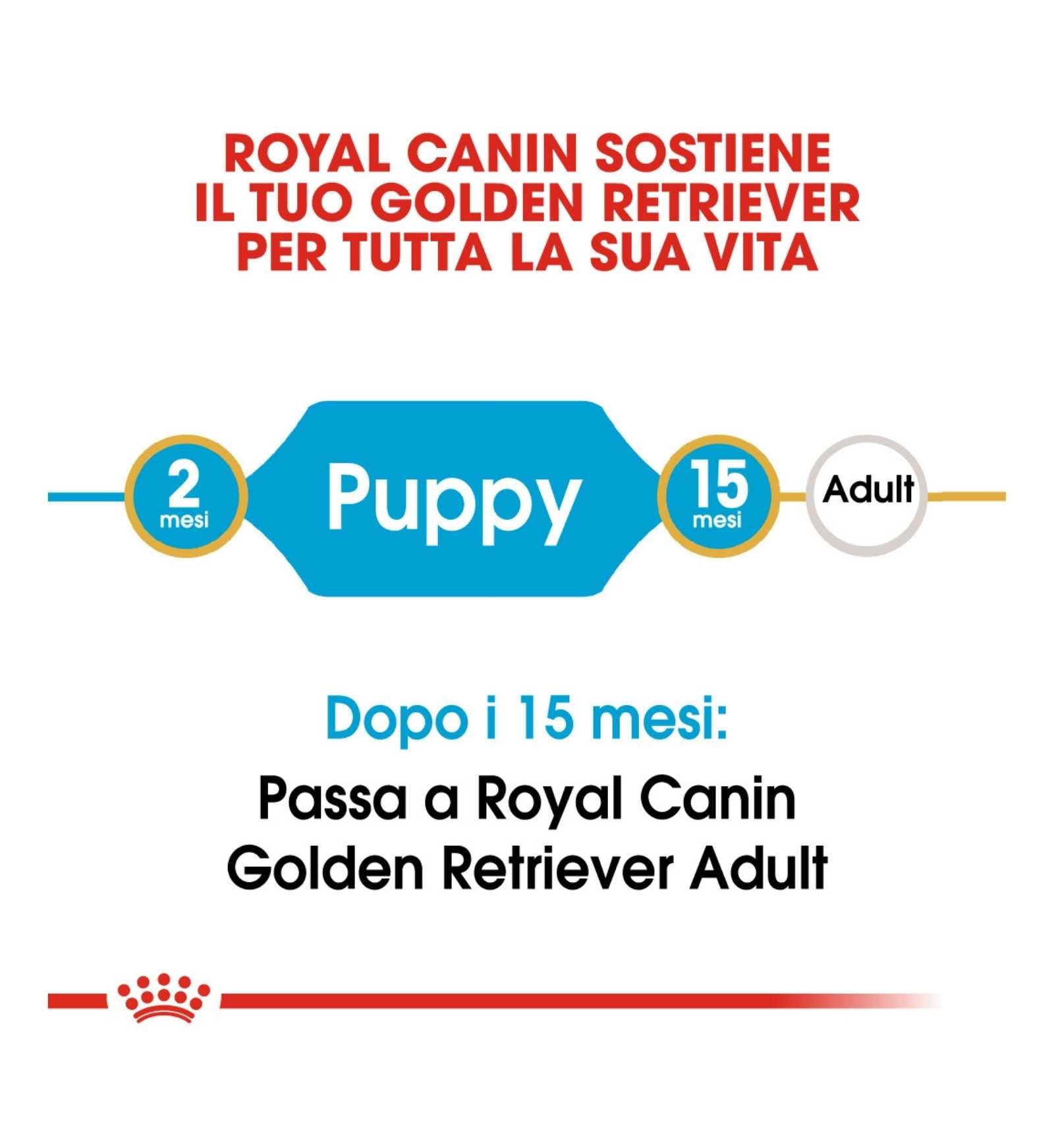 ROYAL CANIN CANE BREED GOLDEN RETRIEVER PUPPY