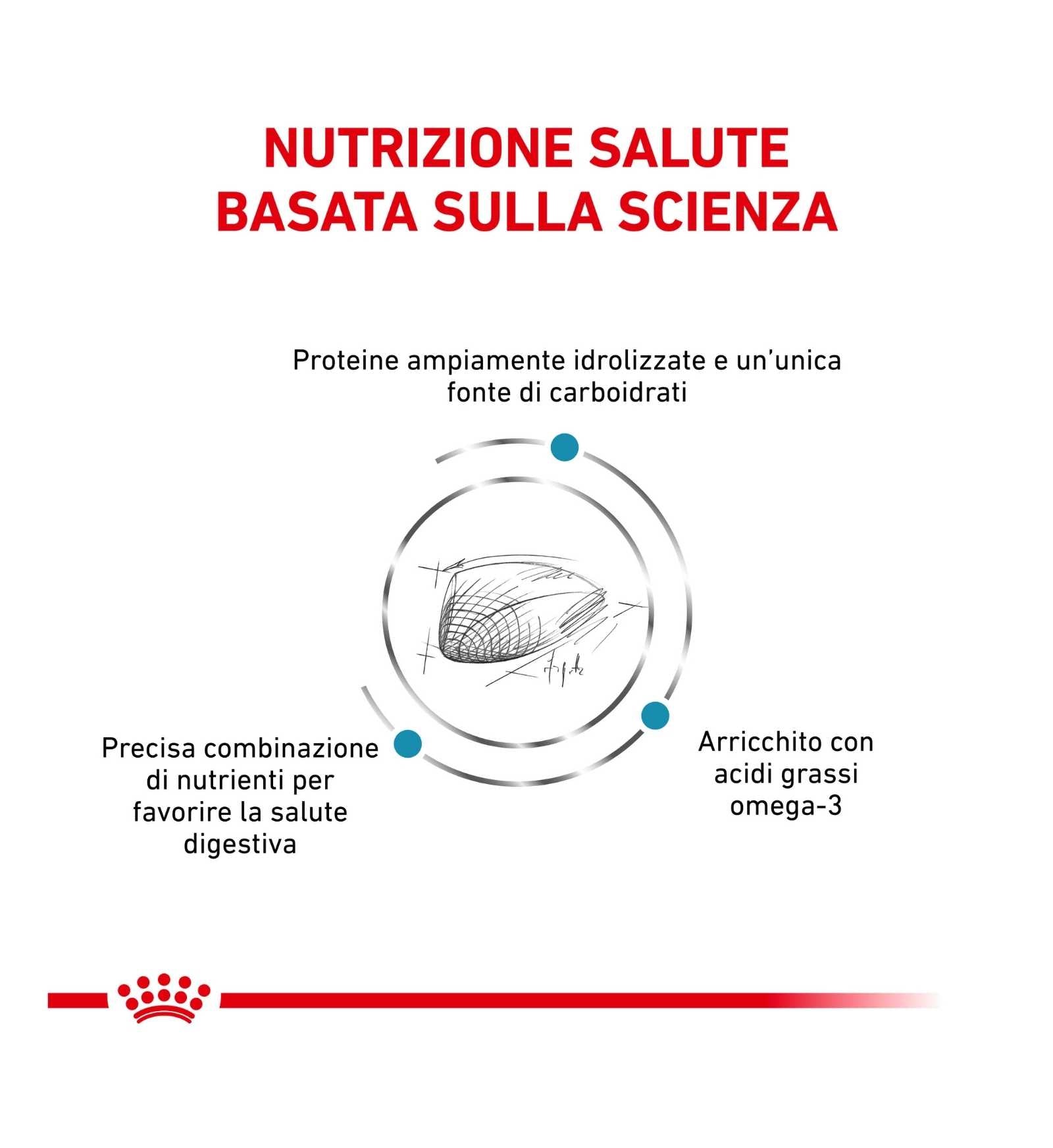 ROYAL CANIN GATTO DIET HYPOALLERGENIC