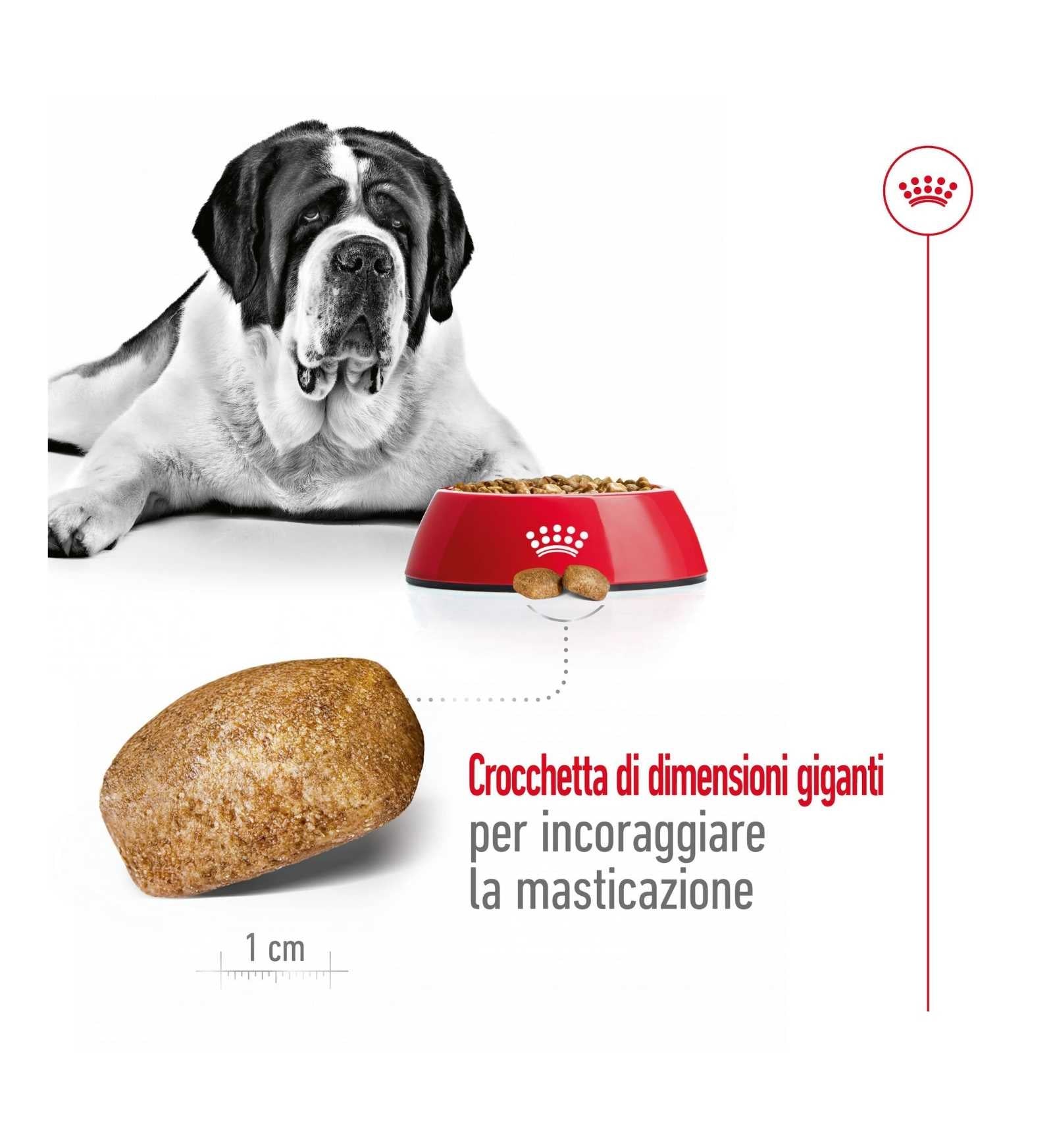 ROYAL CANIN CANE ADULT GIANT DA 15 KG