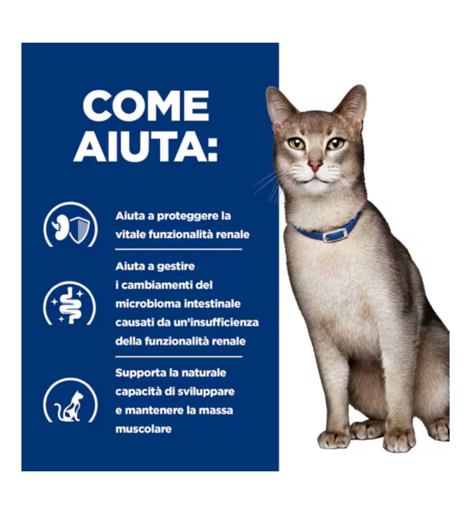 HILL'S PRESCRIPTION DIET GATTO K/D AL MANZO DA 85 GR IN BUSTA