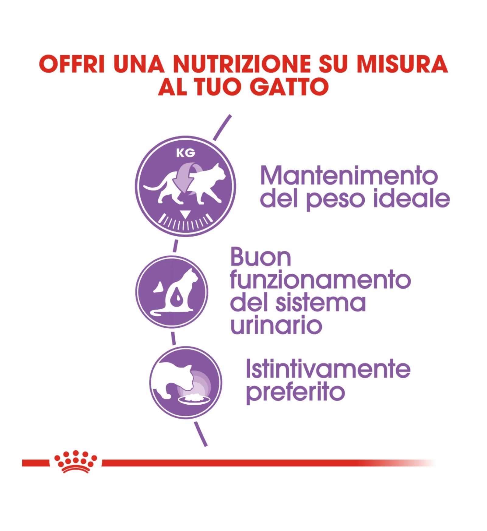 ROYAL CANIN GATTO STERILIZED JELLY DA 85 GR IN BUSTA