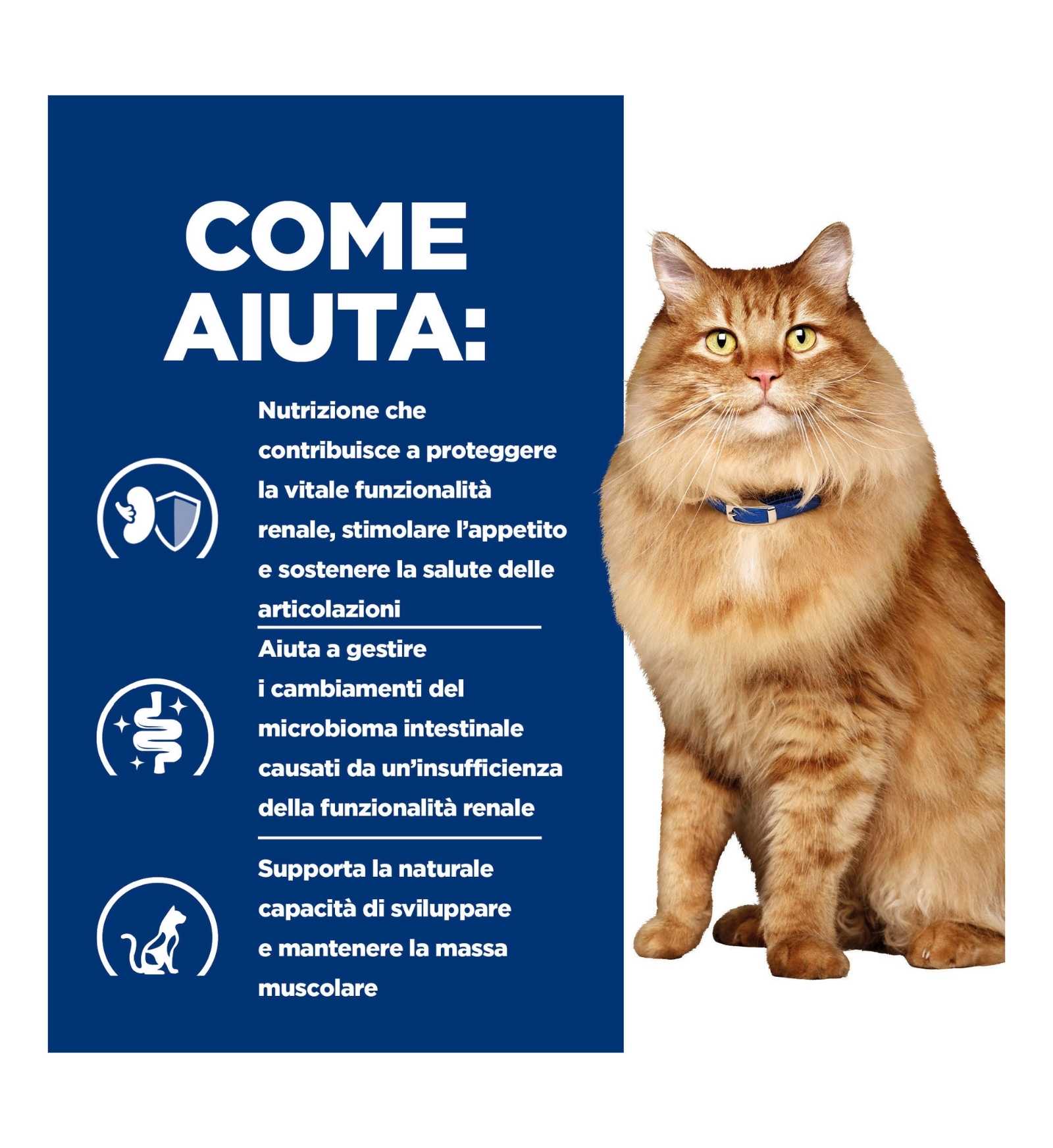 HILL'S PRESCRIPTION DIET GATTO K/D MOBILITY CON SPEZZATINO DI POLLO E VERDURE DA 82 GR IN LATTINA