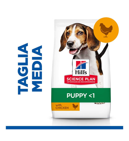 HILL'S SCIENCE PLAN CANE PUPPY MEDIUM AL POLLO