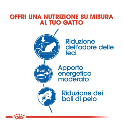 INNOVET CANE E GATTO REDODERM SHAMPOO DA 250 ML