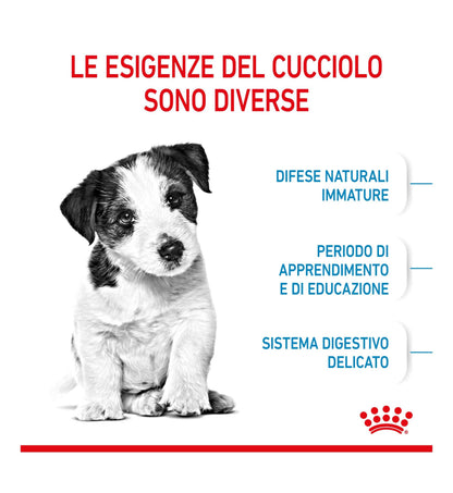 ROYAL CANIN CANE PUPPY MINI