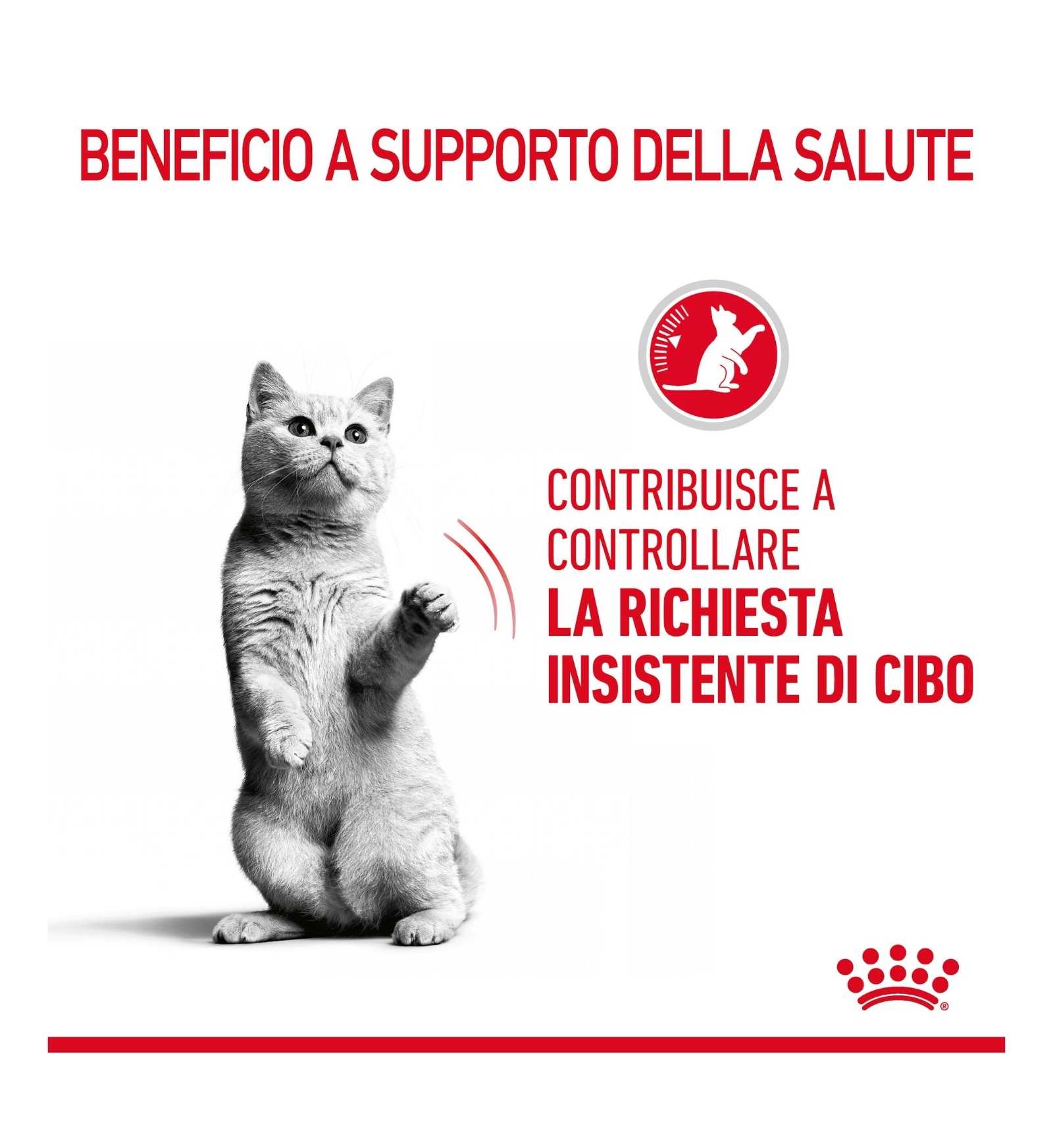 ROYAL CANIN GATTO STERILIZZATO APPETITE CONTROL CARE
